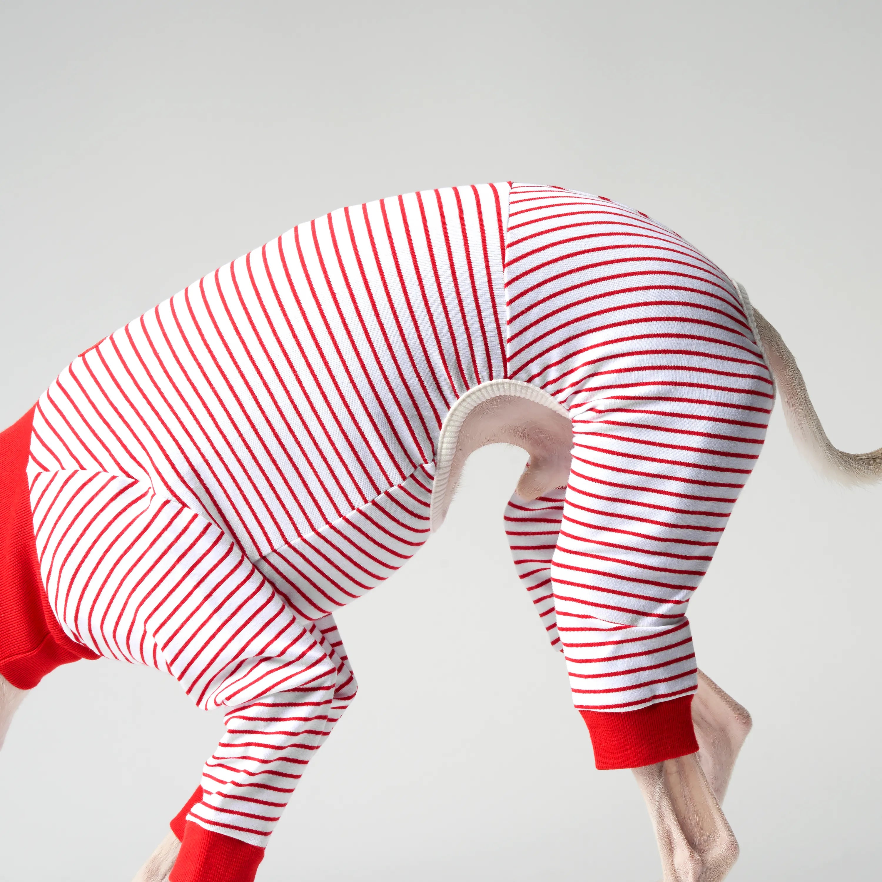 BALLET - SLIM STRIPES
