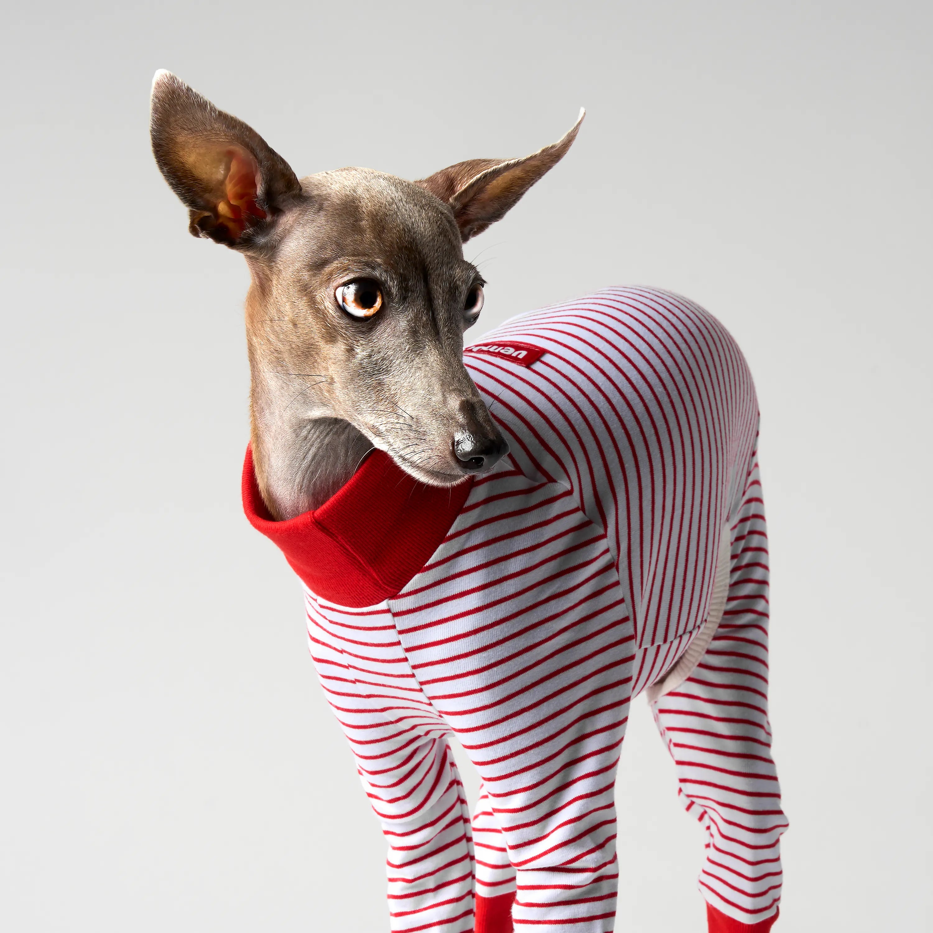 BALLET - SLIM STRIPES