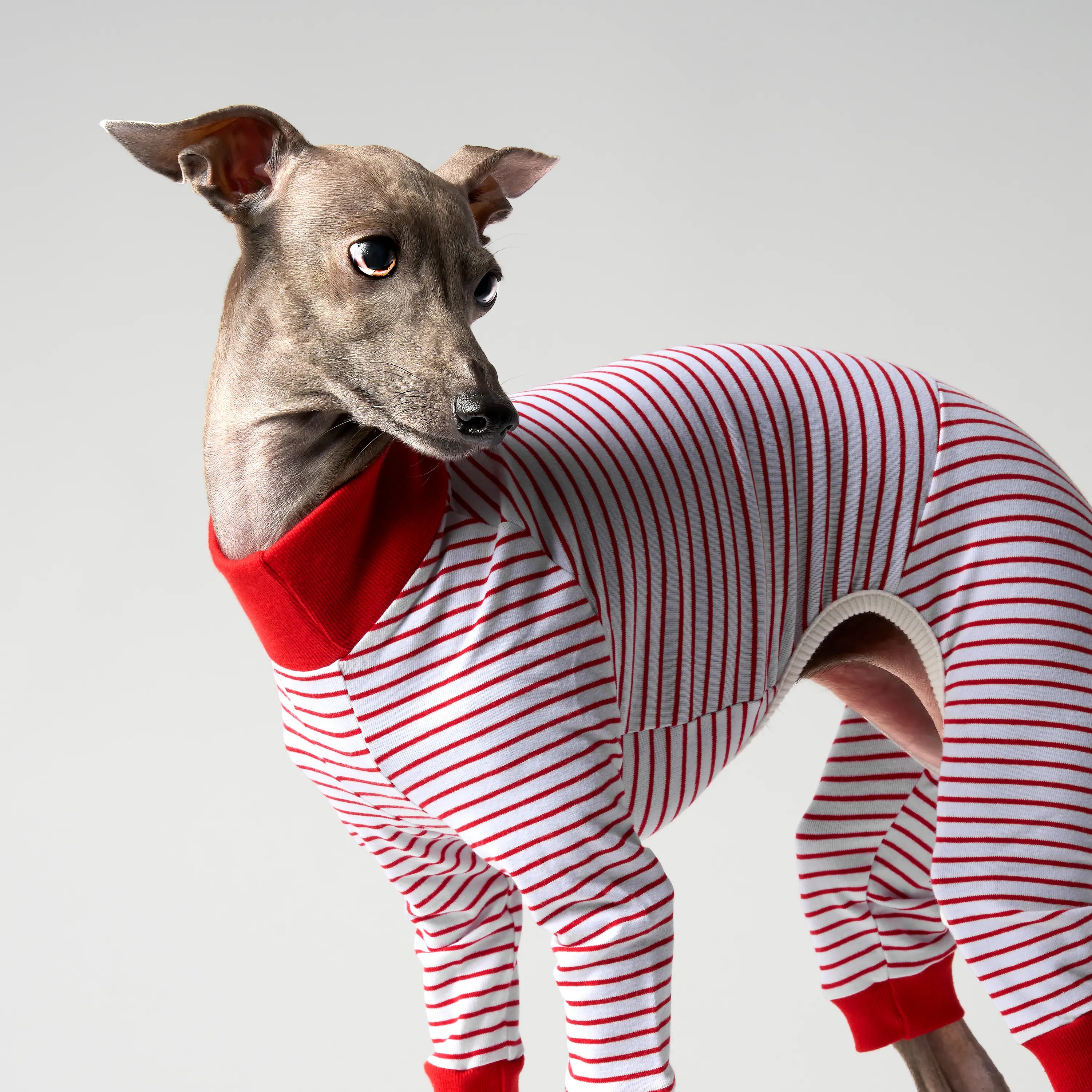 BALLET - SLIM STRIPES