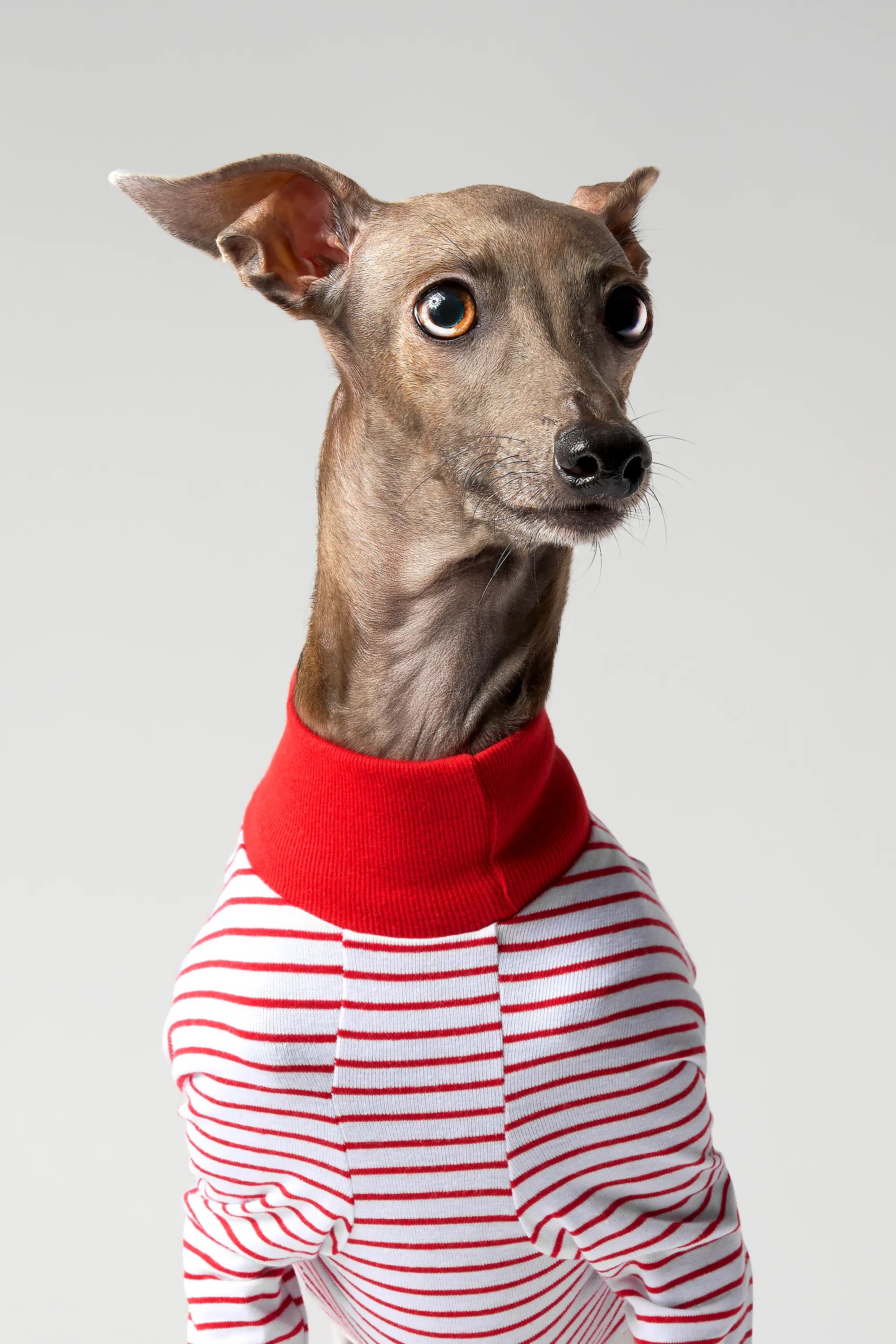 BALLET - SLIM STRIPES