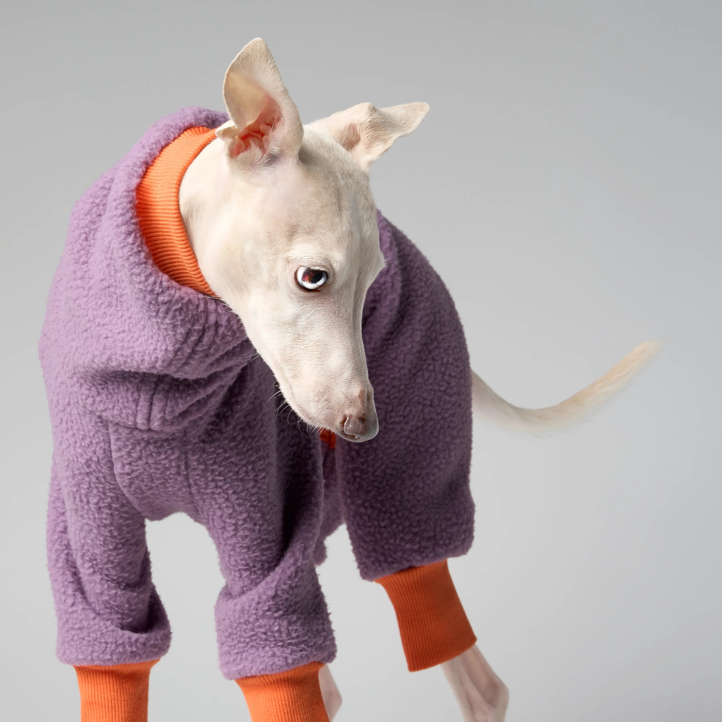 FLEECE - SHEAR CLASSIC