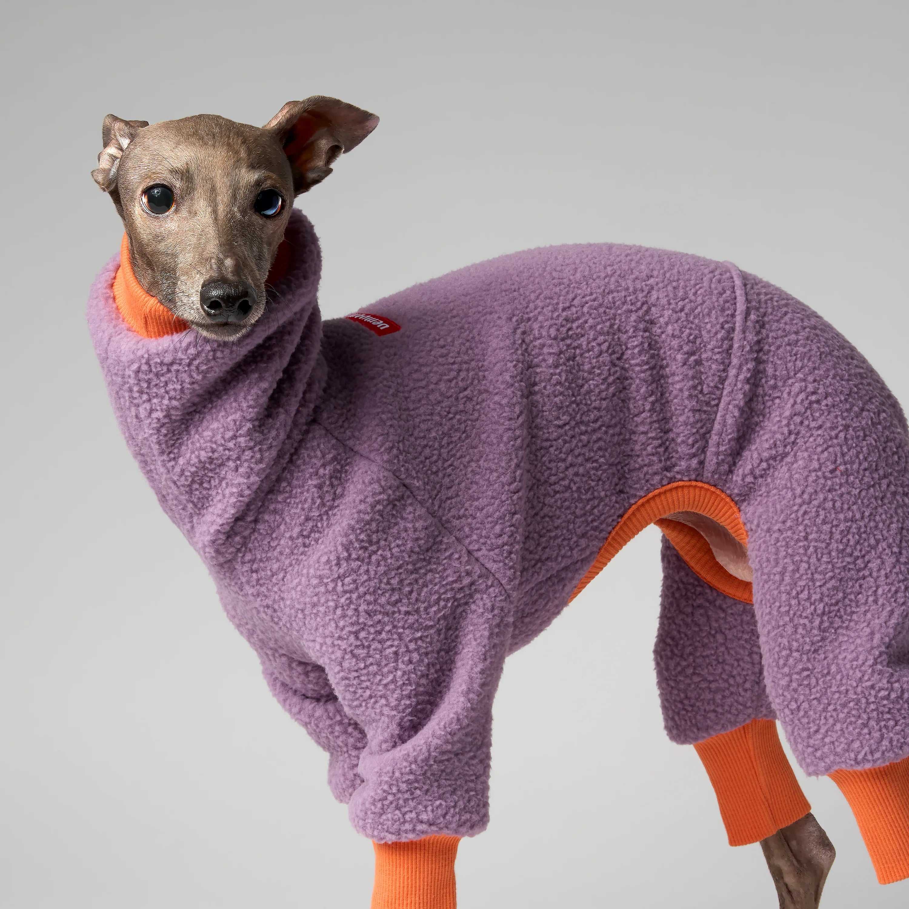 FLEECE - SHEAR CLASSIC