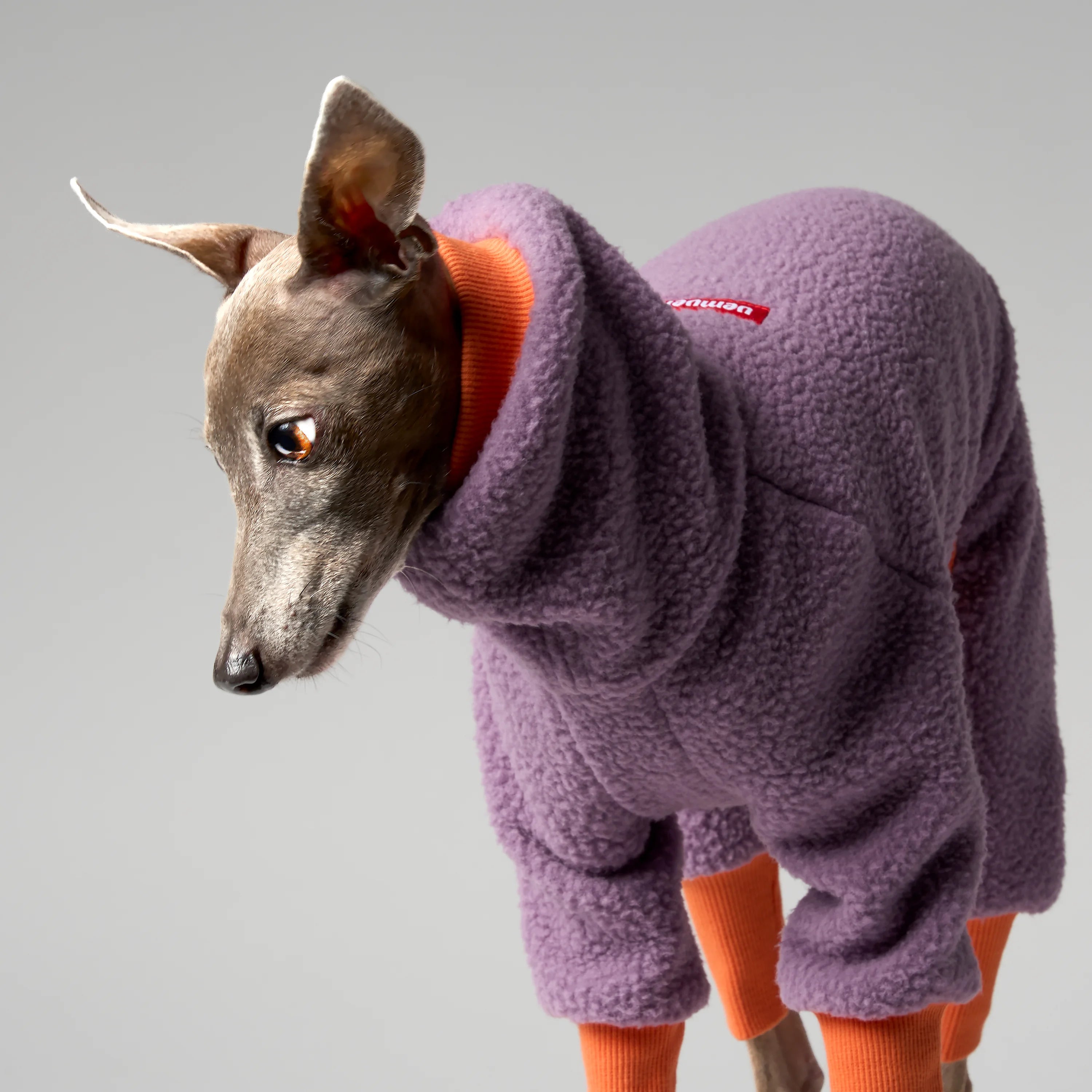 FLEECE - SHEAR CLASSIC