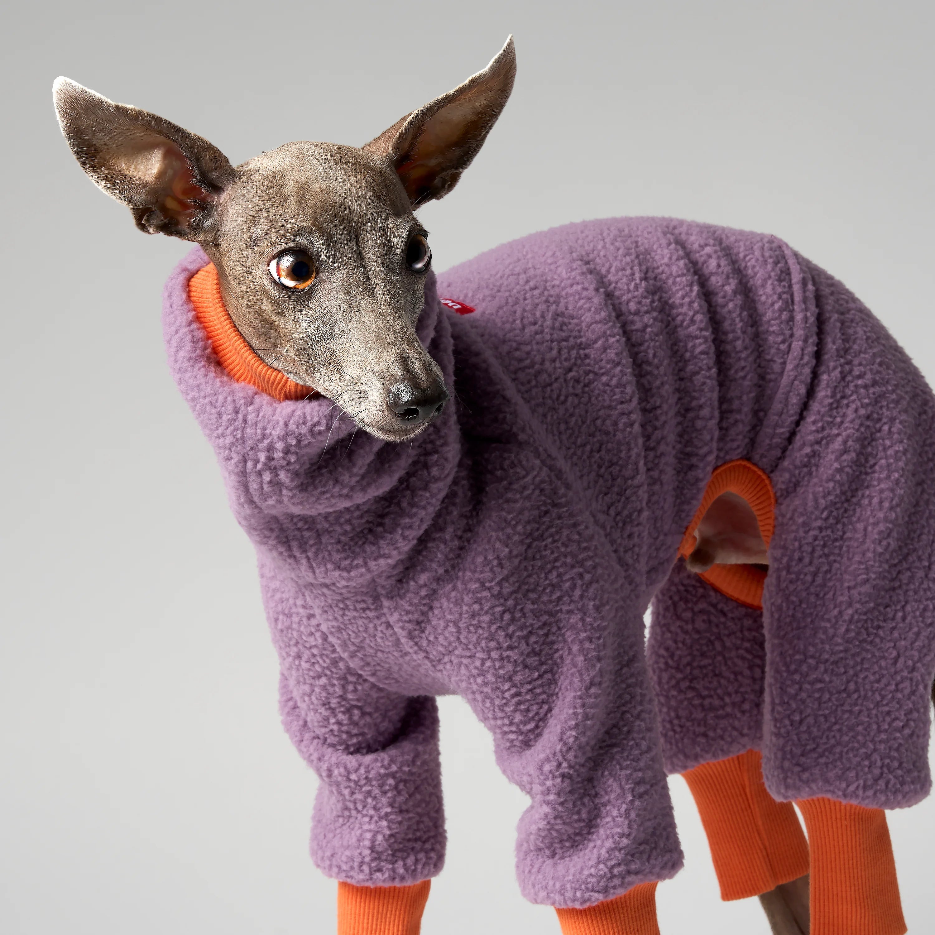 FLEECE - SHEAR CLASSIC