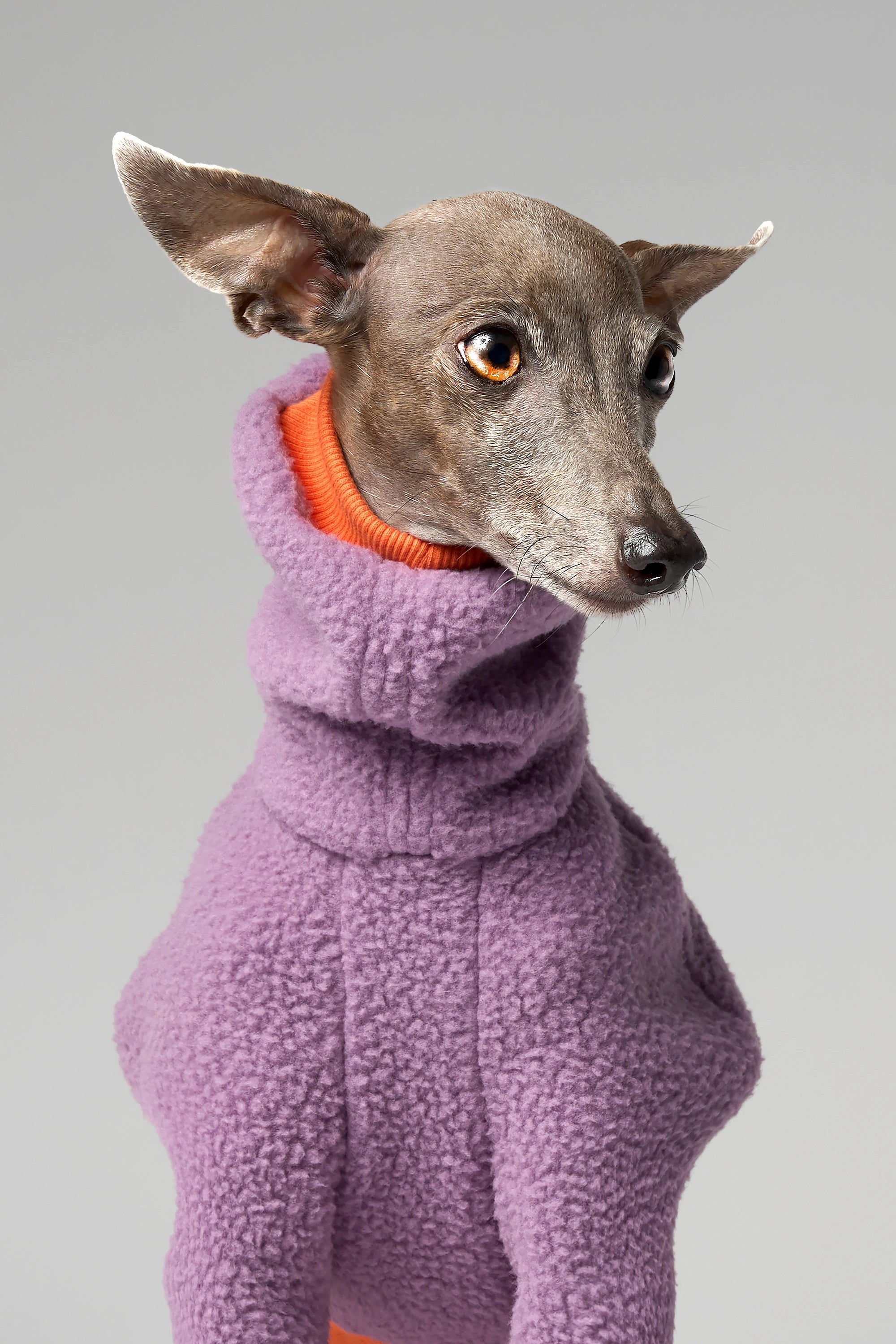 FLEECE - SHEAR CLASSIC