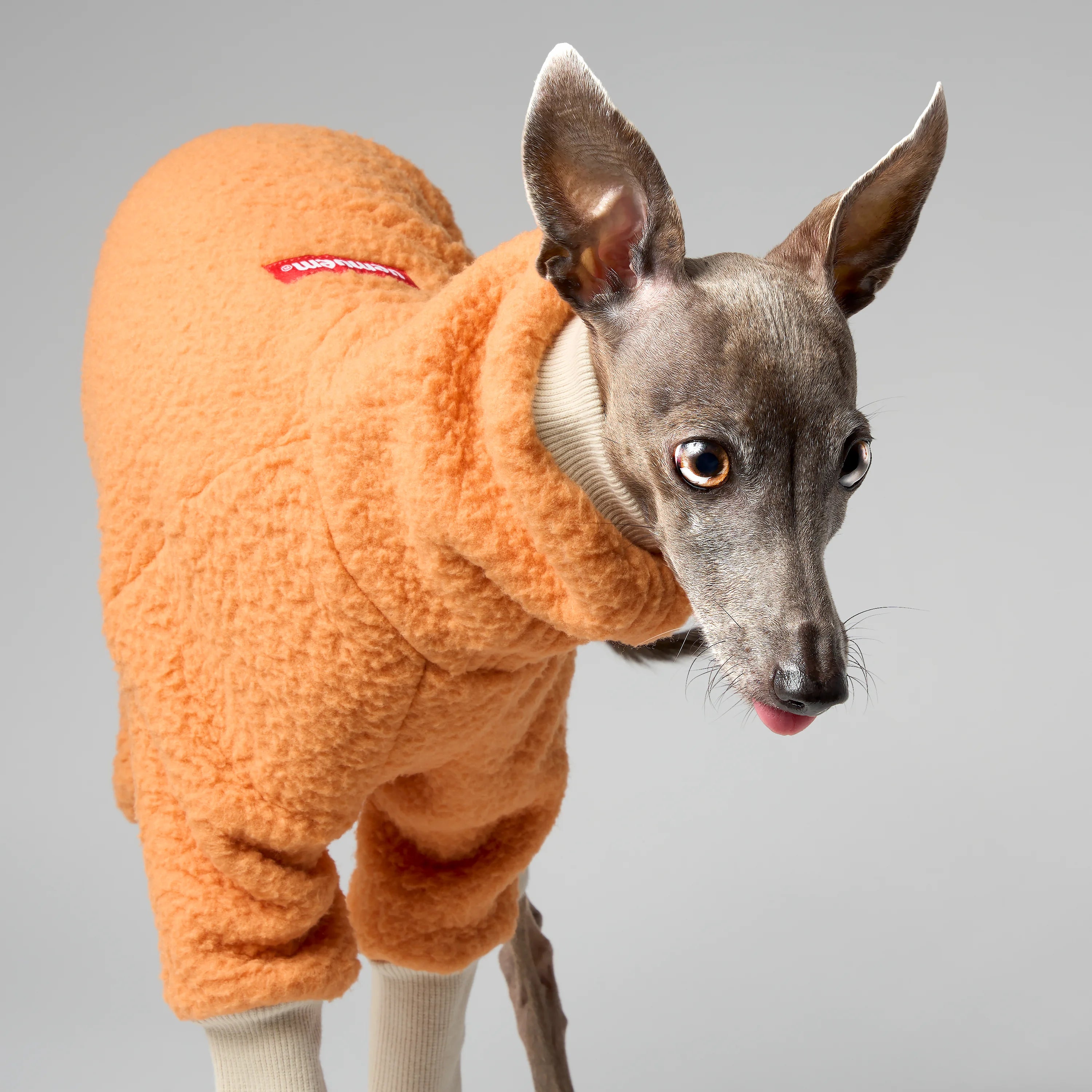 FLEECE - SHEAR CLASSIC