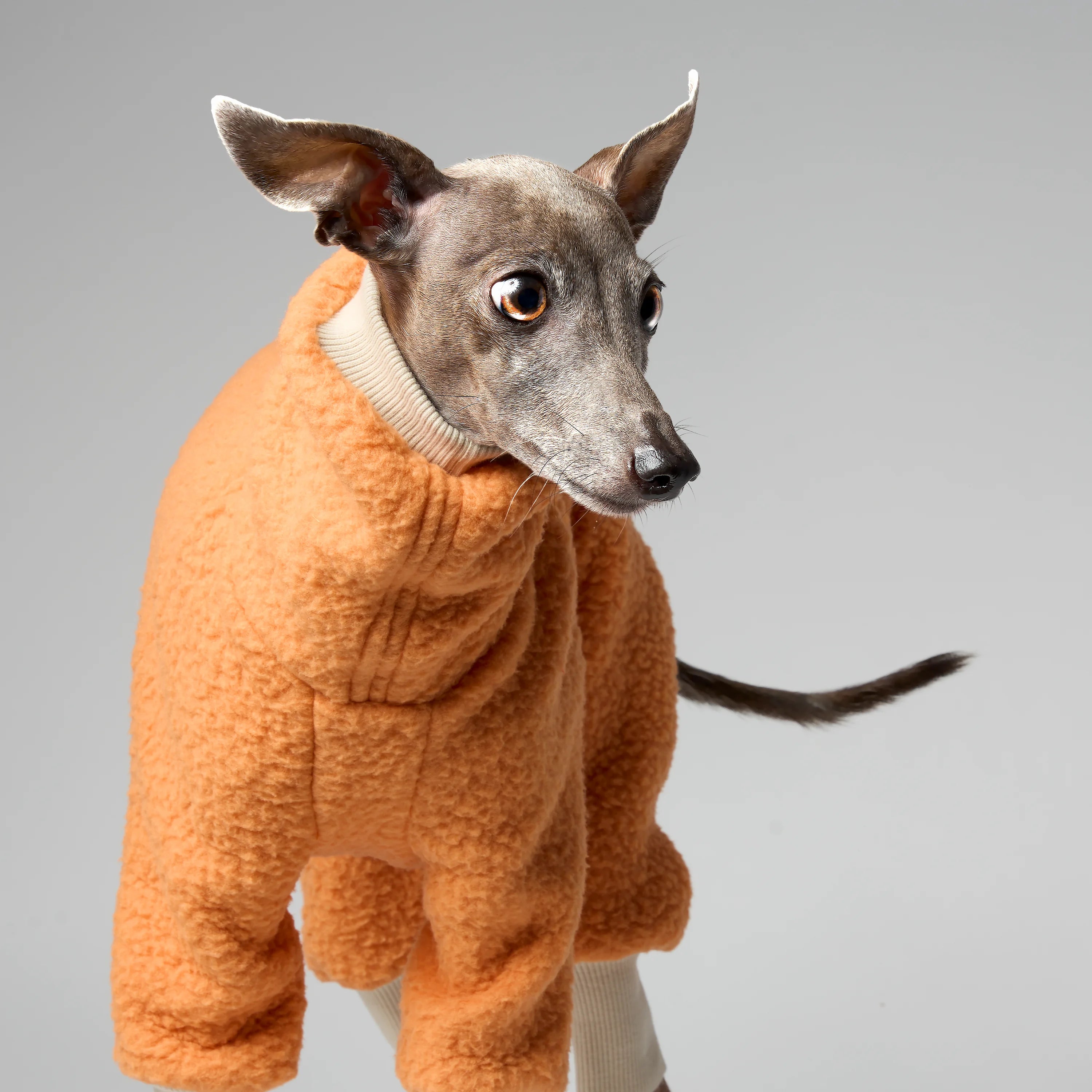 FLEECE - SHEAR CLASSIC