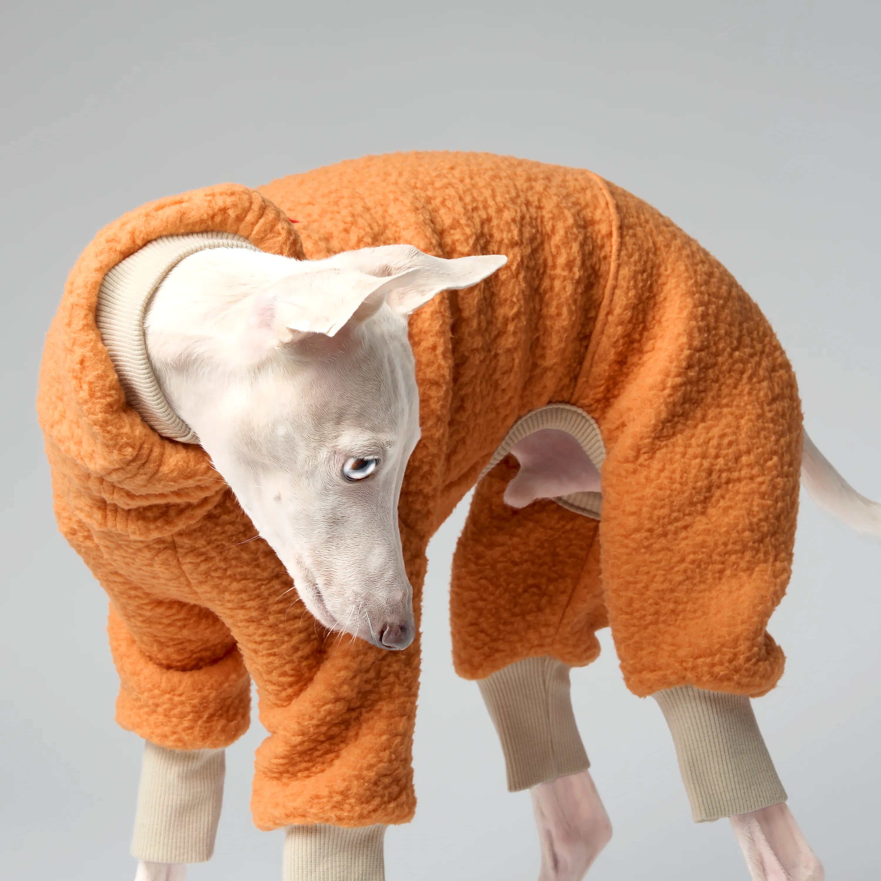 FLEECE - SHEAR CLASSIC