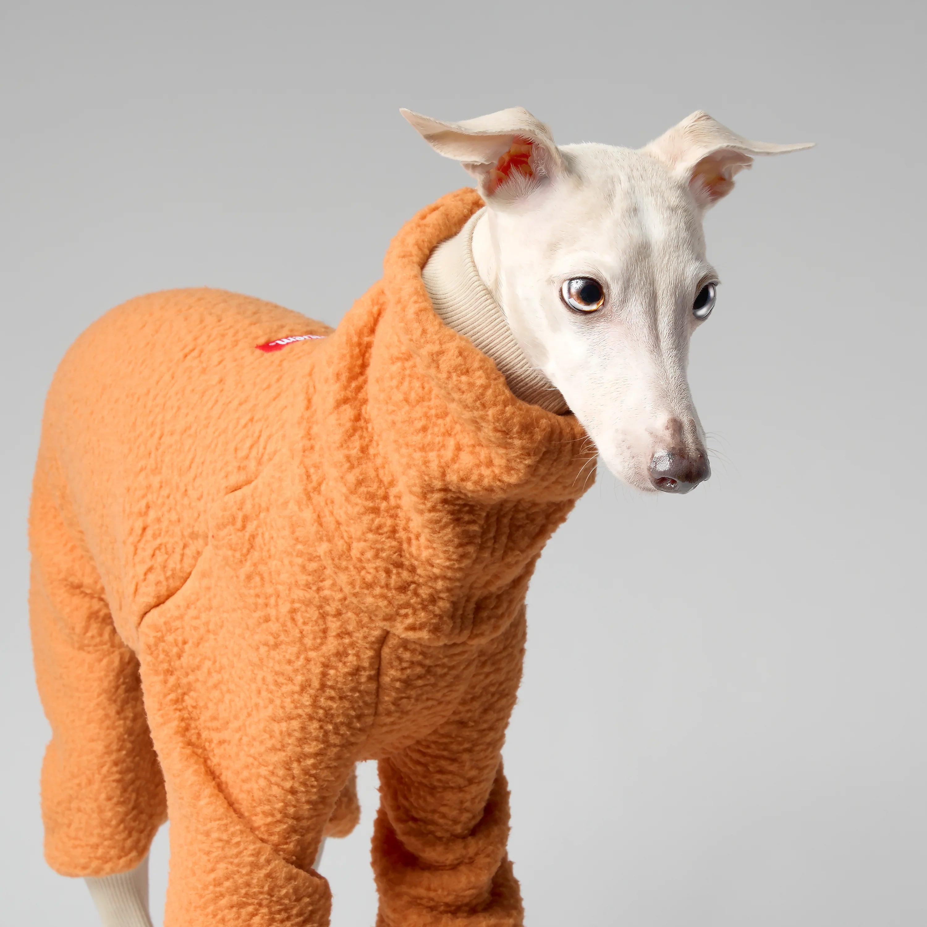 FLEECE - SHEAR CLASSIC