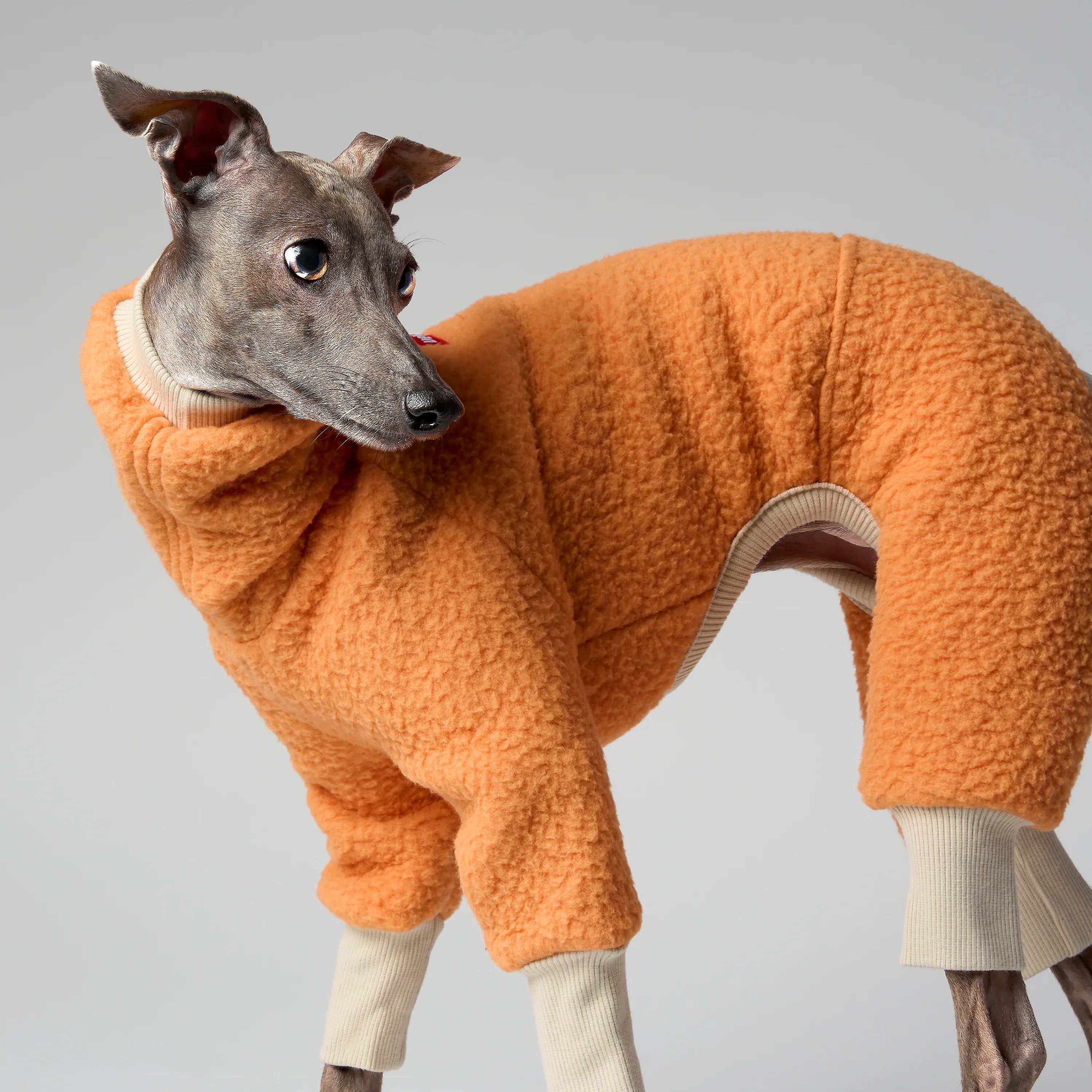 FLEECE - SHEAR CLASSIC