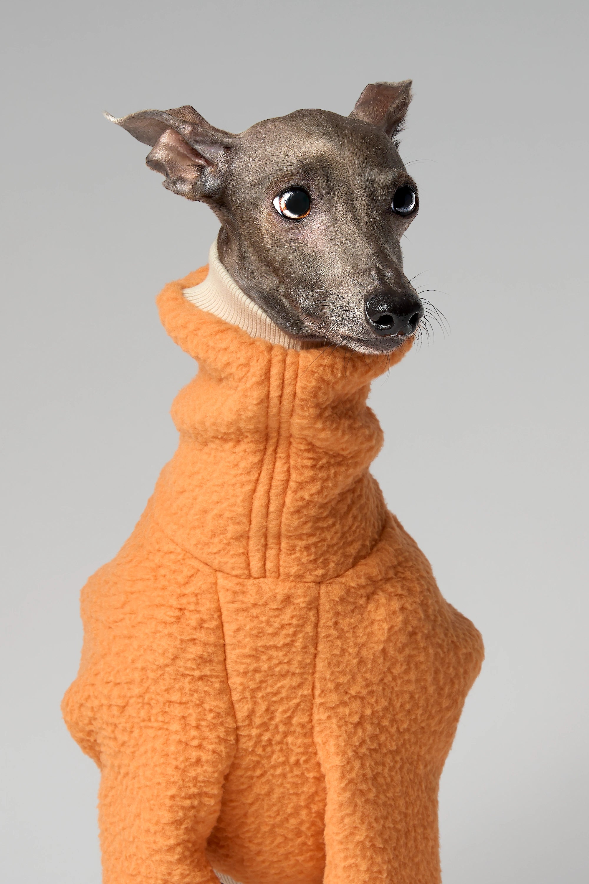 FLEECE - SHEAR CLASSIC