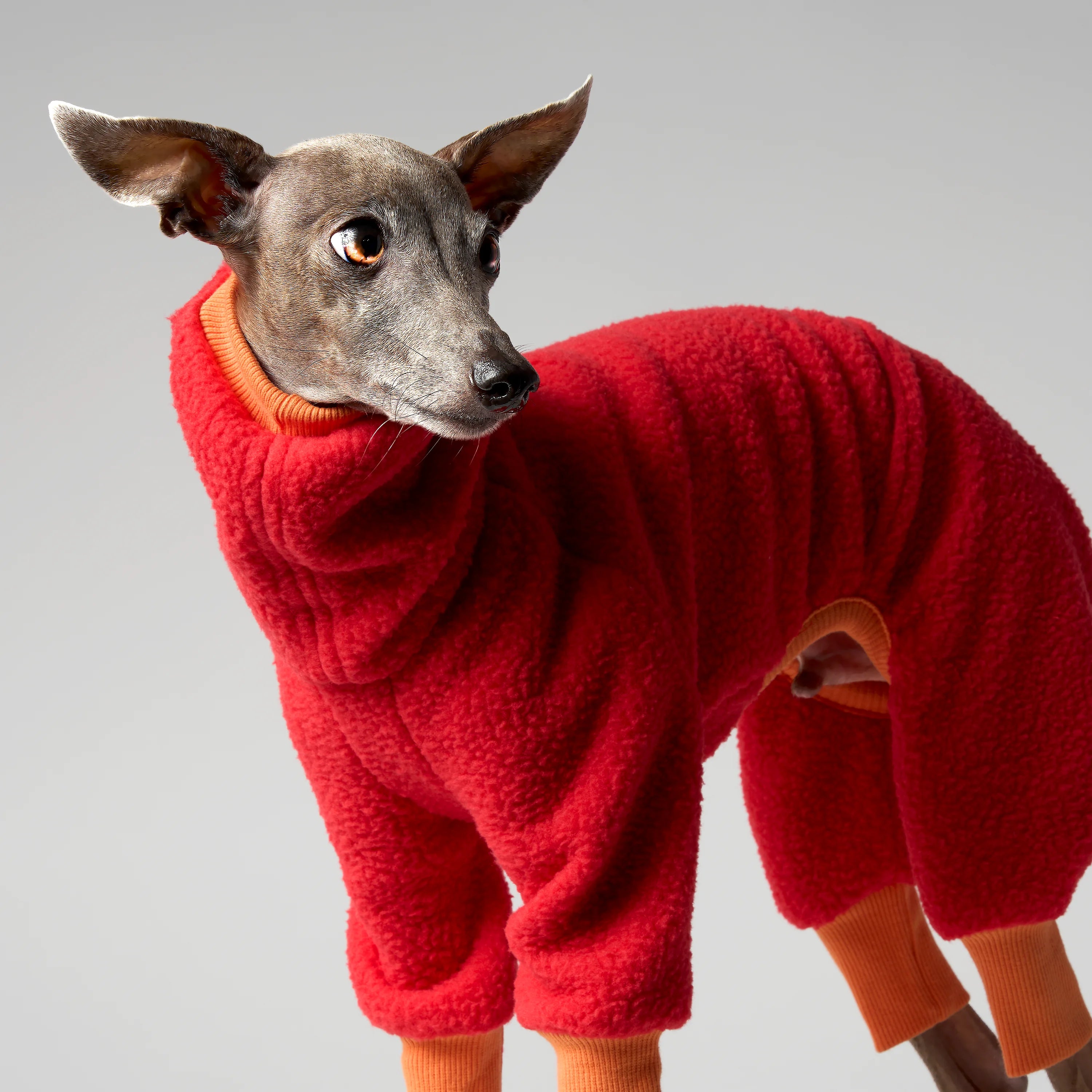 FLEECE - SHEAR CLASSIC