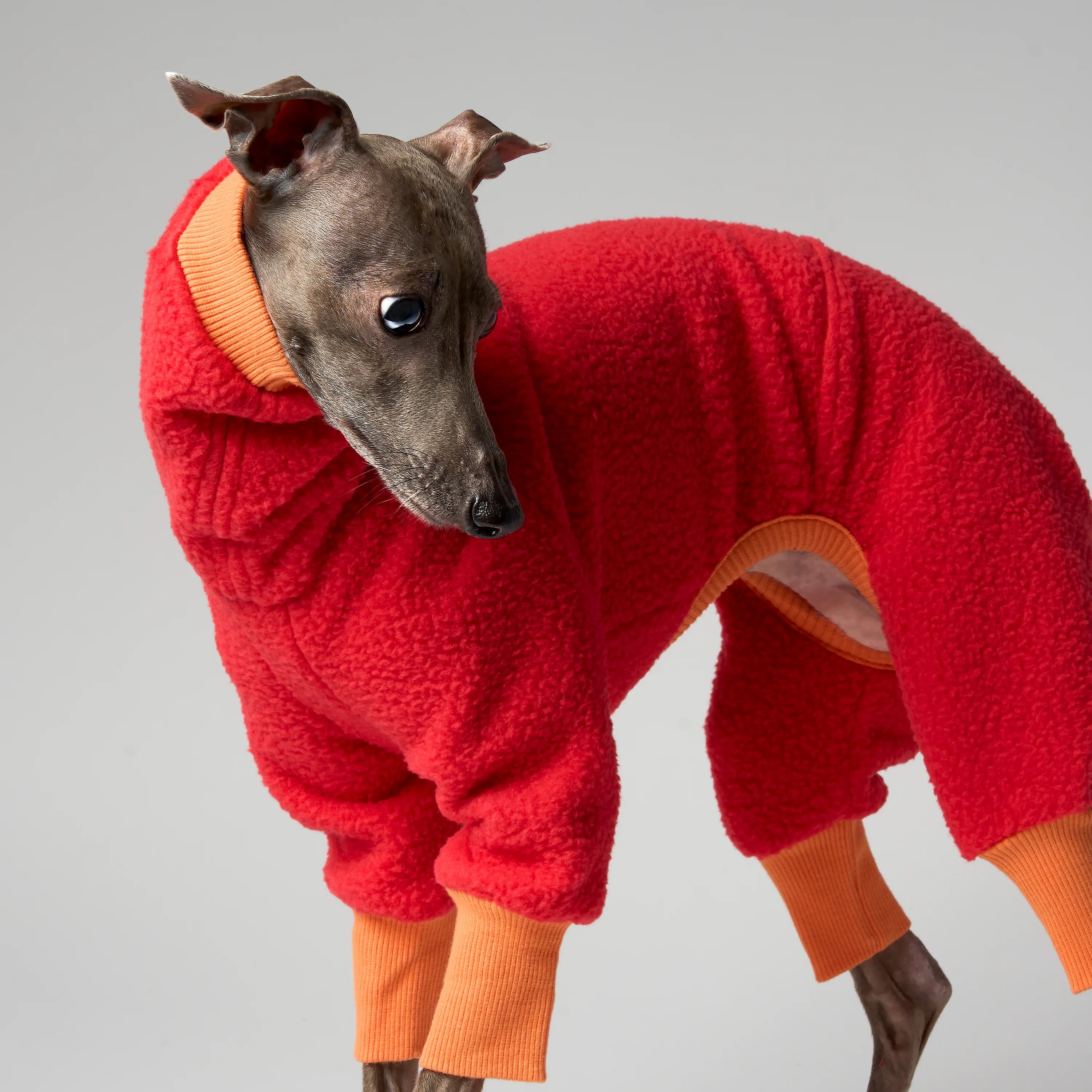 FLEECE - SHEAR CLASSIC