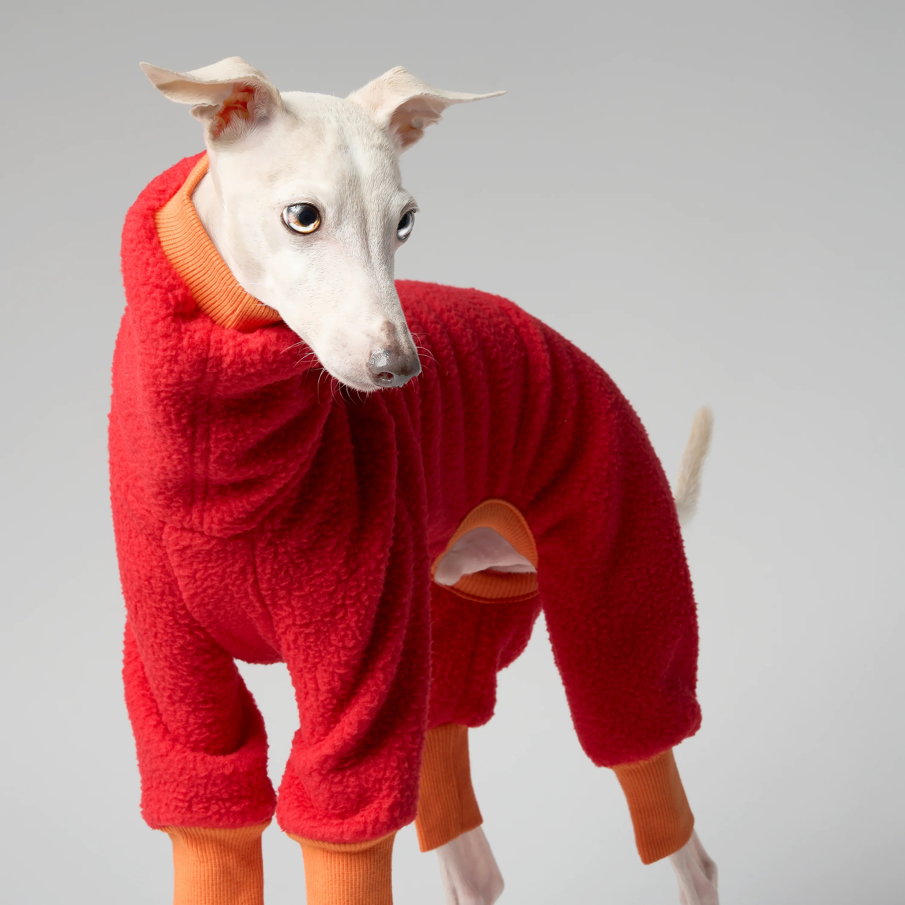 FLEECE - SHEAR CLASSIC