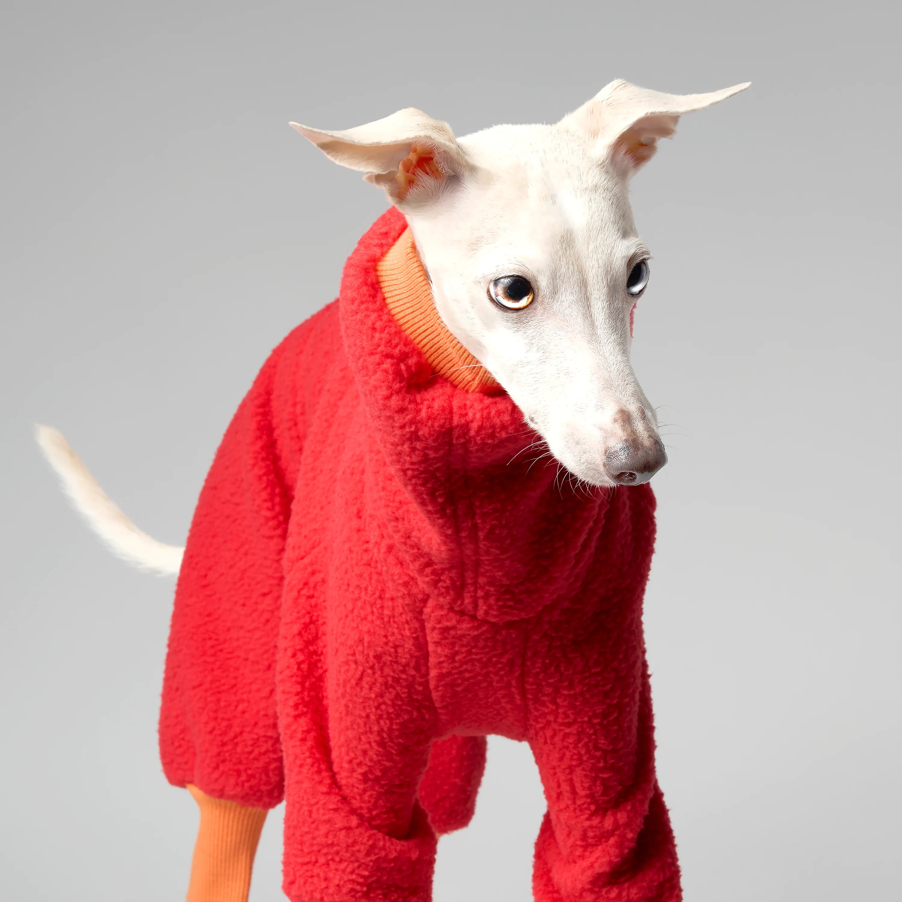 FLEECE - SHEAR CLASSIC