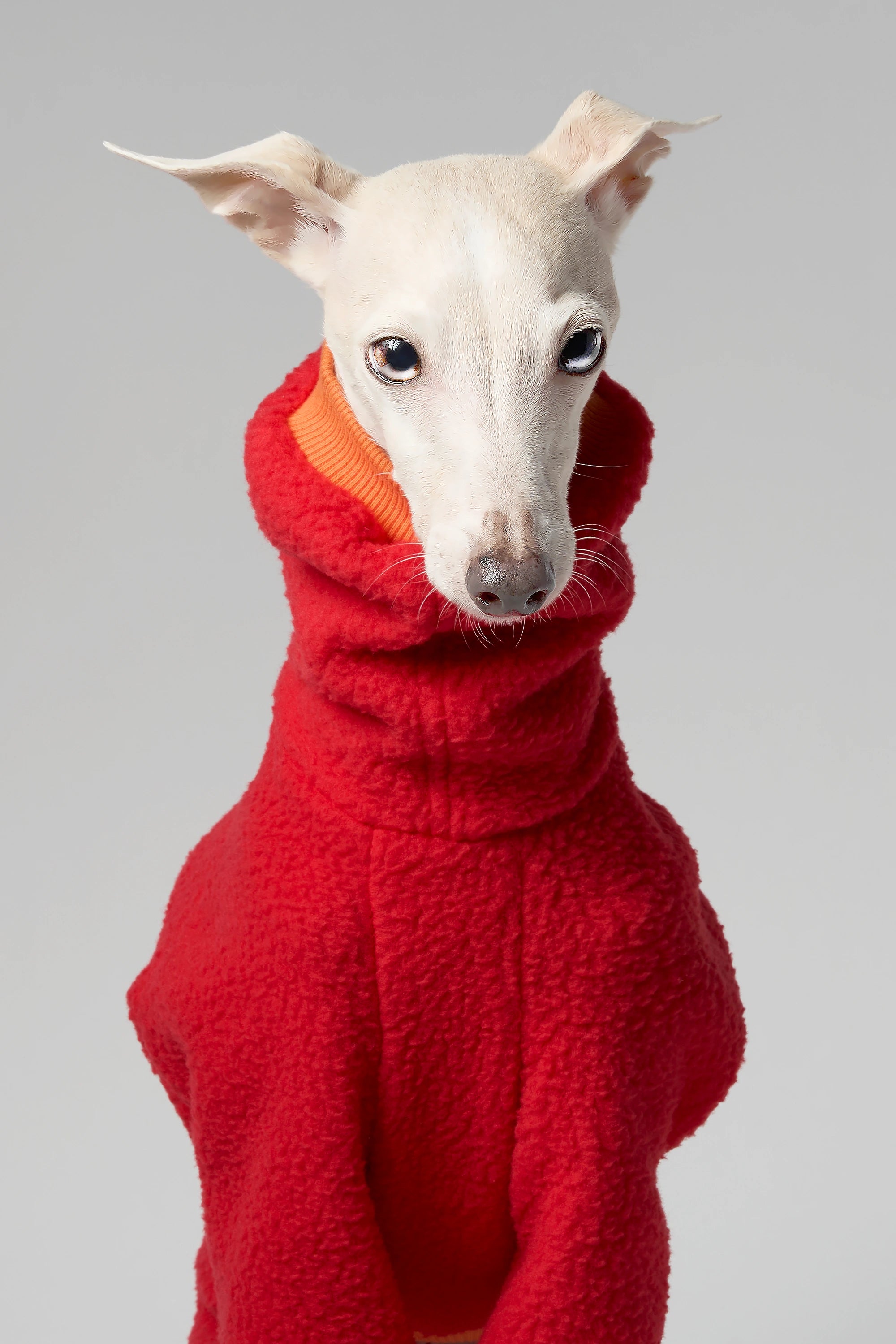 FLEECE - SHEAR CLASSIC