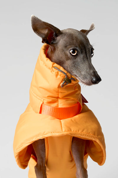 Gravity_SuperCover_Thumb_Fluor