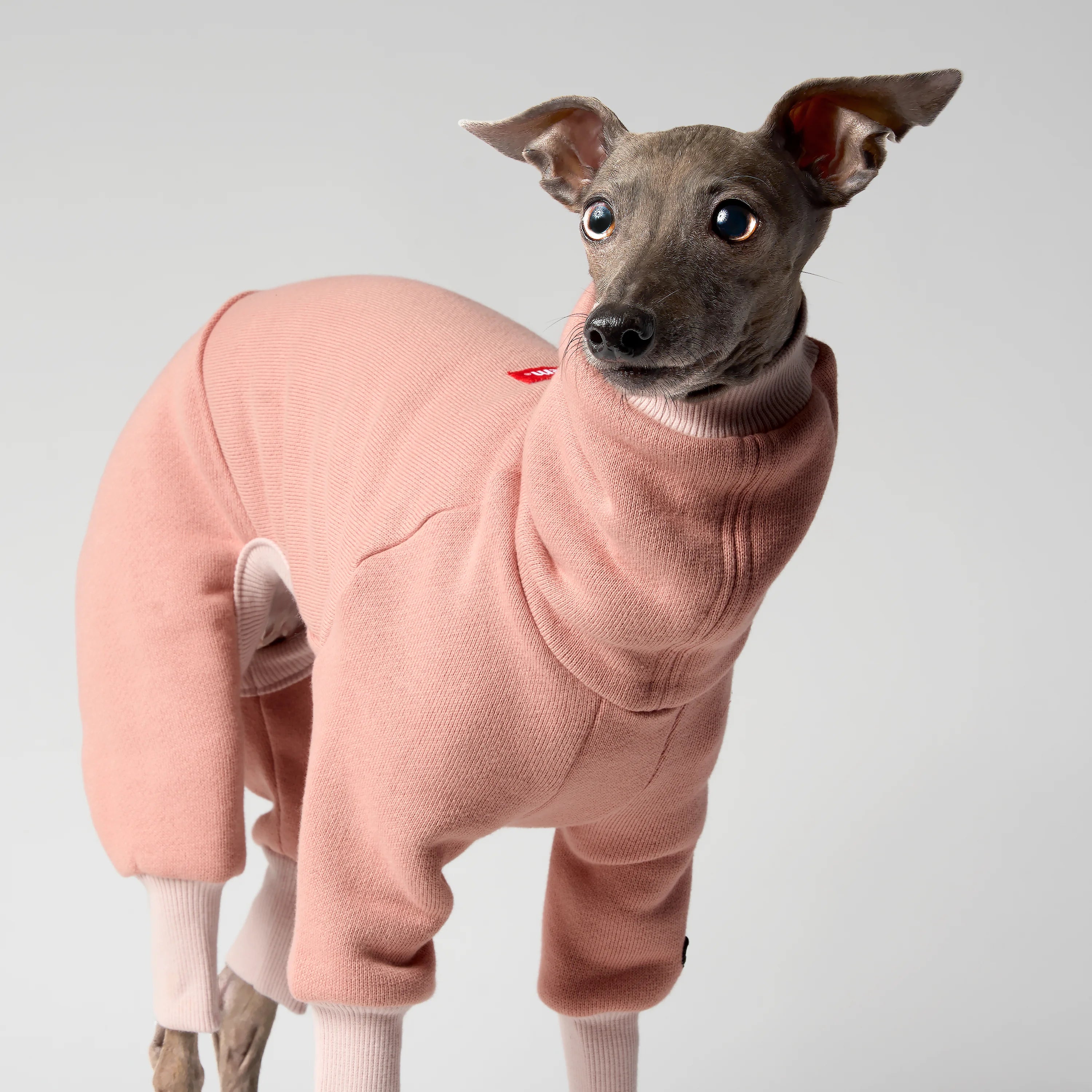 VOLUME – FORMA (RESERVE)