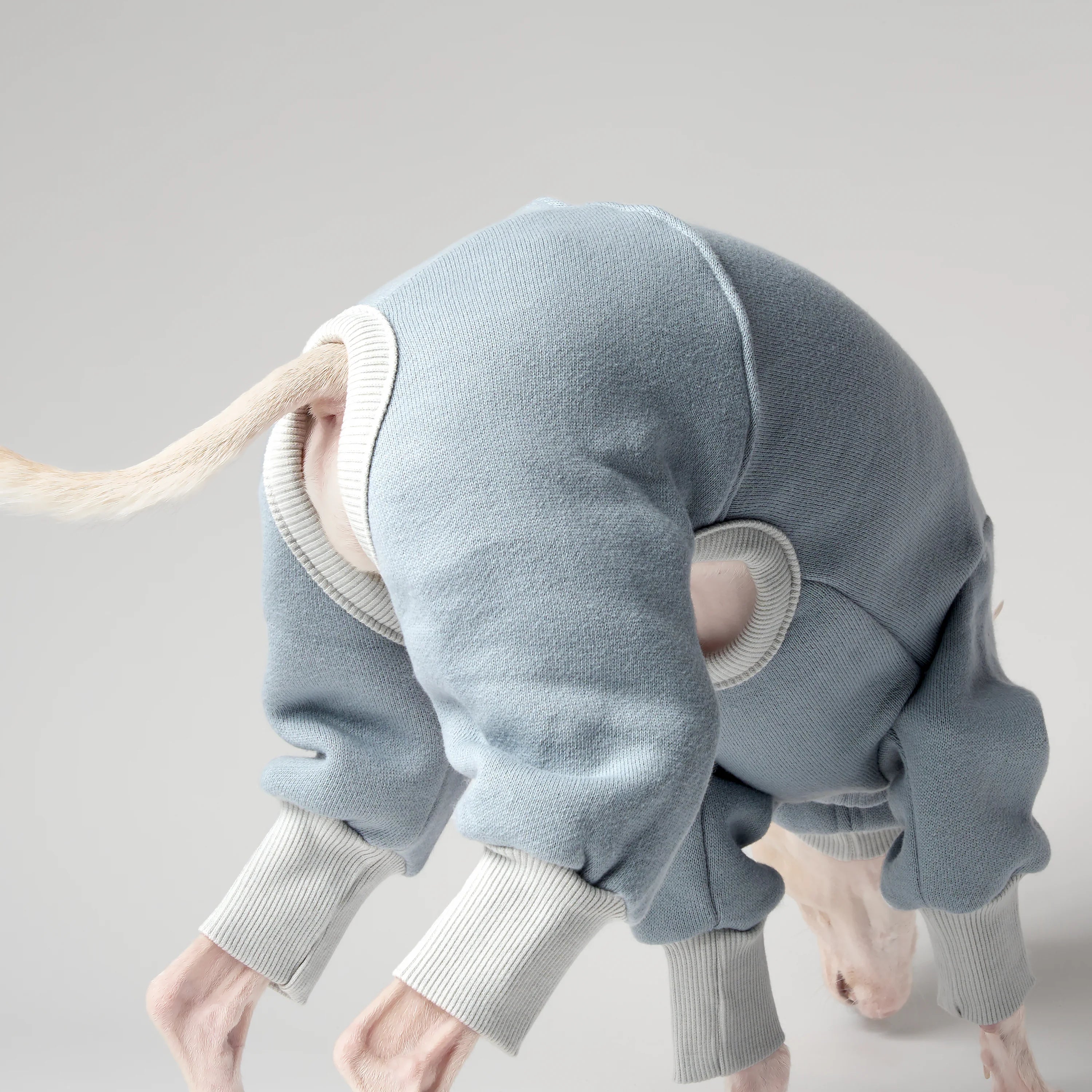 VOLUME – FORMA (RESERVE)