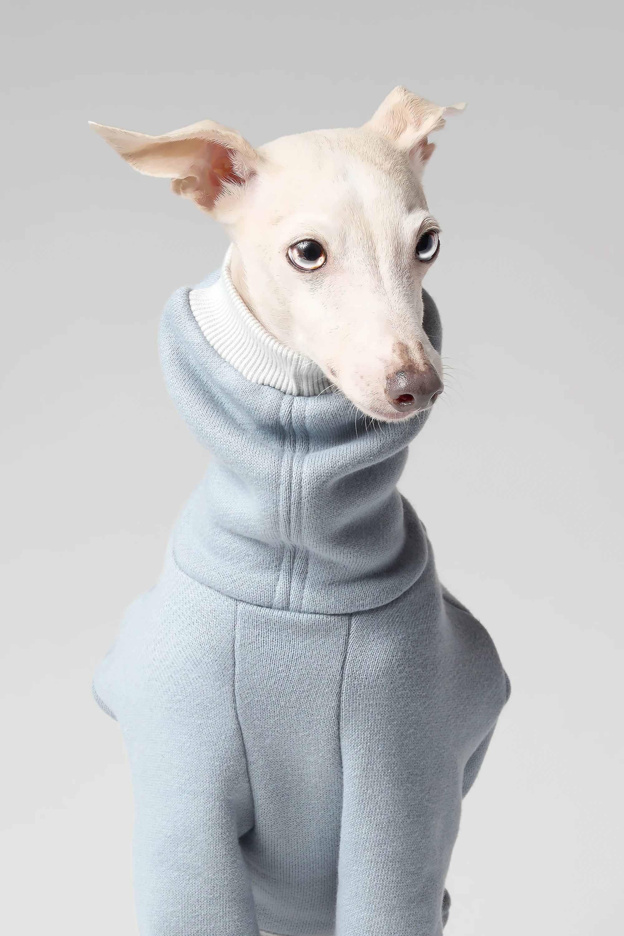 VOLUME – FORMA (RESERVE)