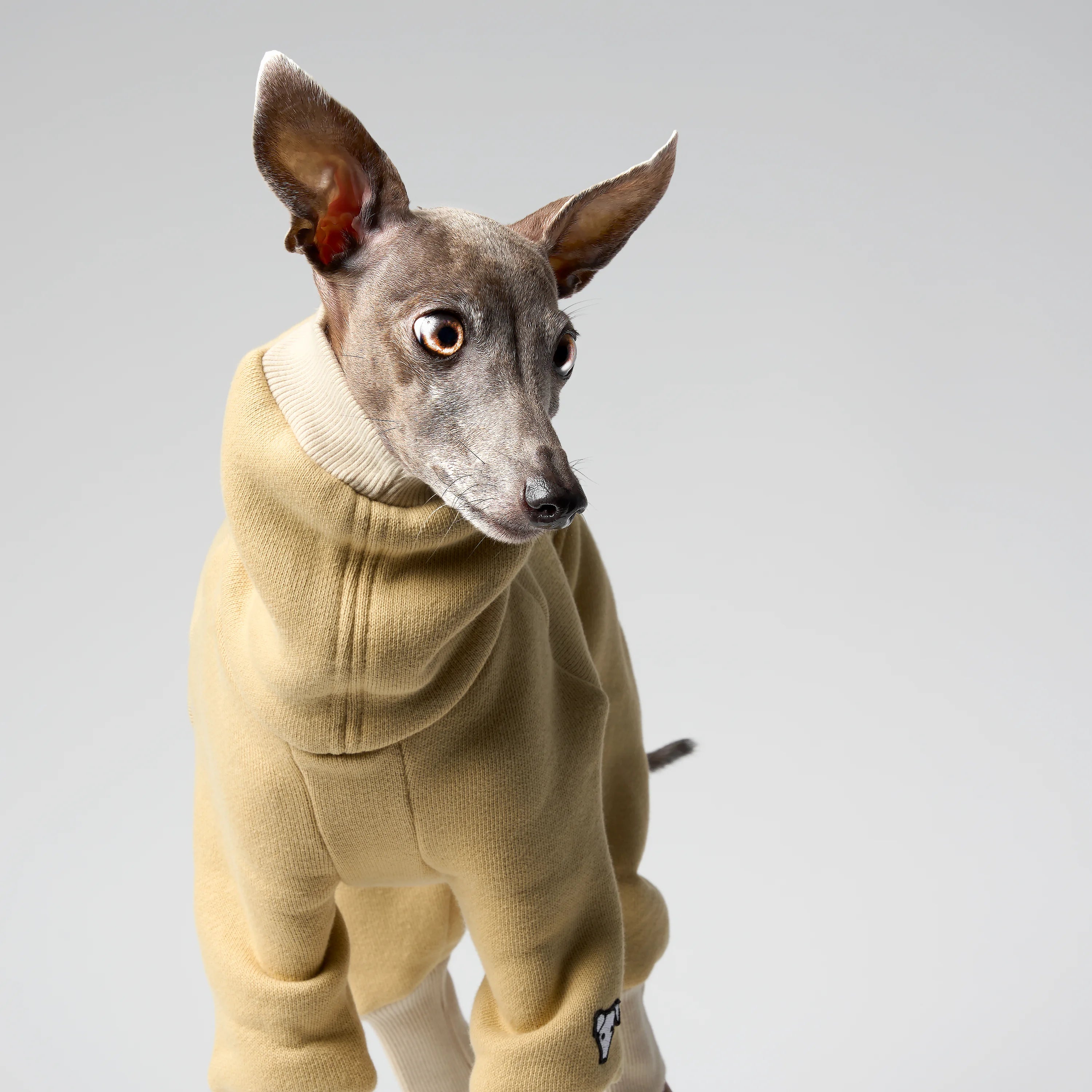 VOLUME – FORMA (RESERVE)