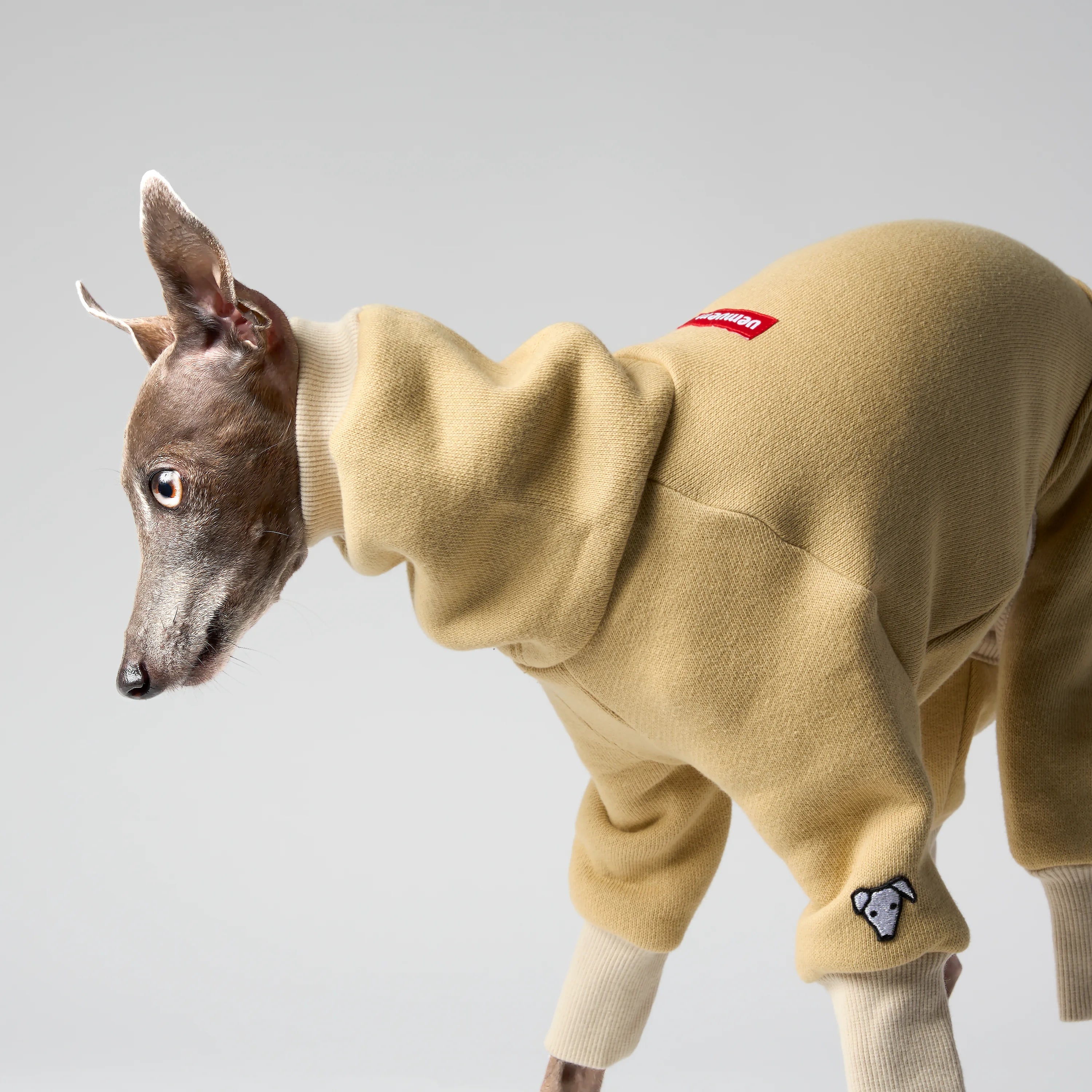 VOLUME – FORMA (RESERVE)