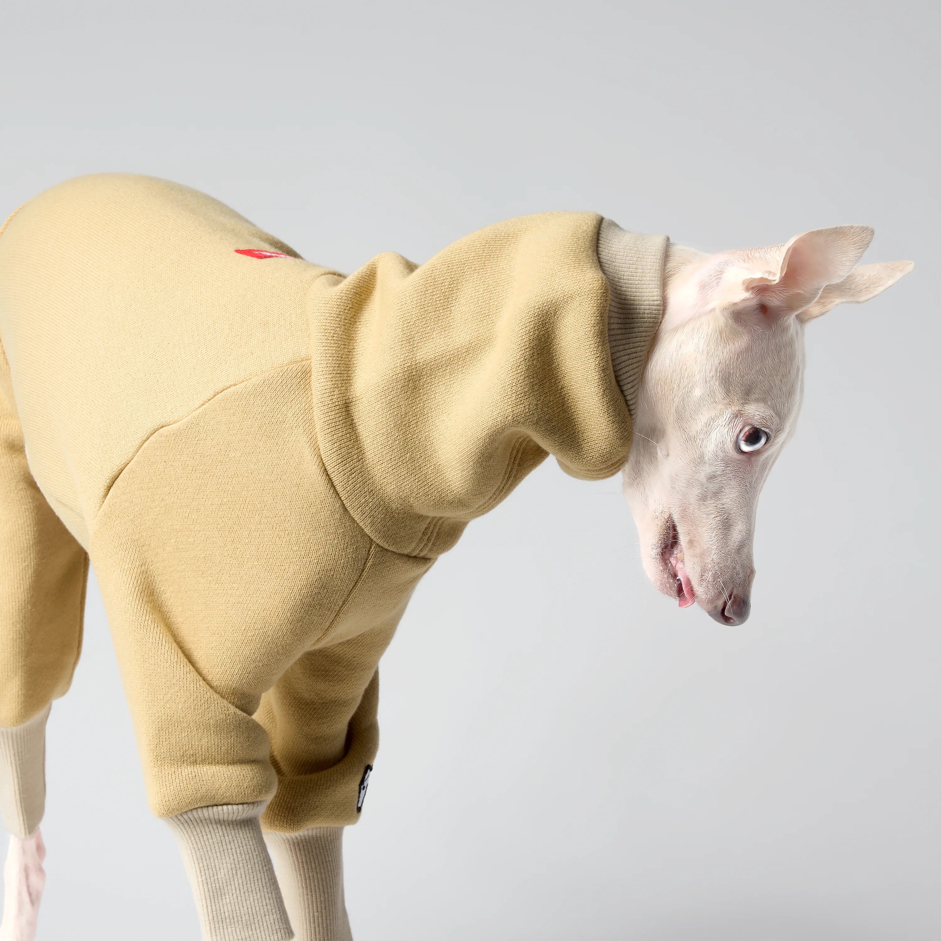 VOLUME – FORMA (RESERVE)