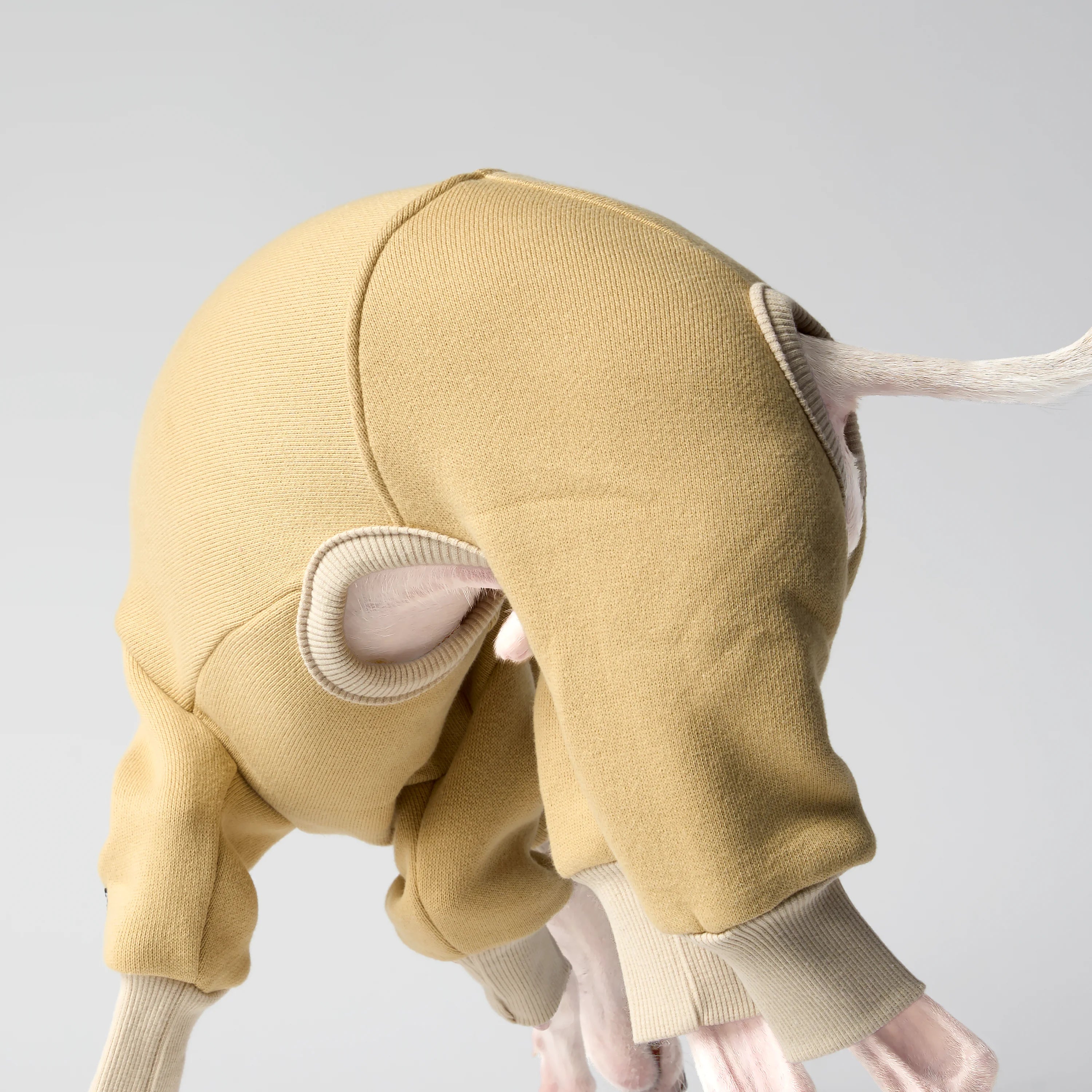 VOLUME – FORMA (RESERVE)