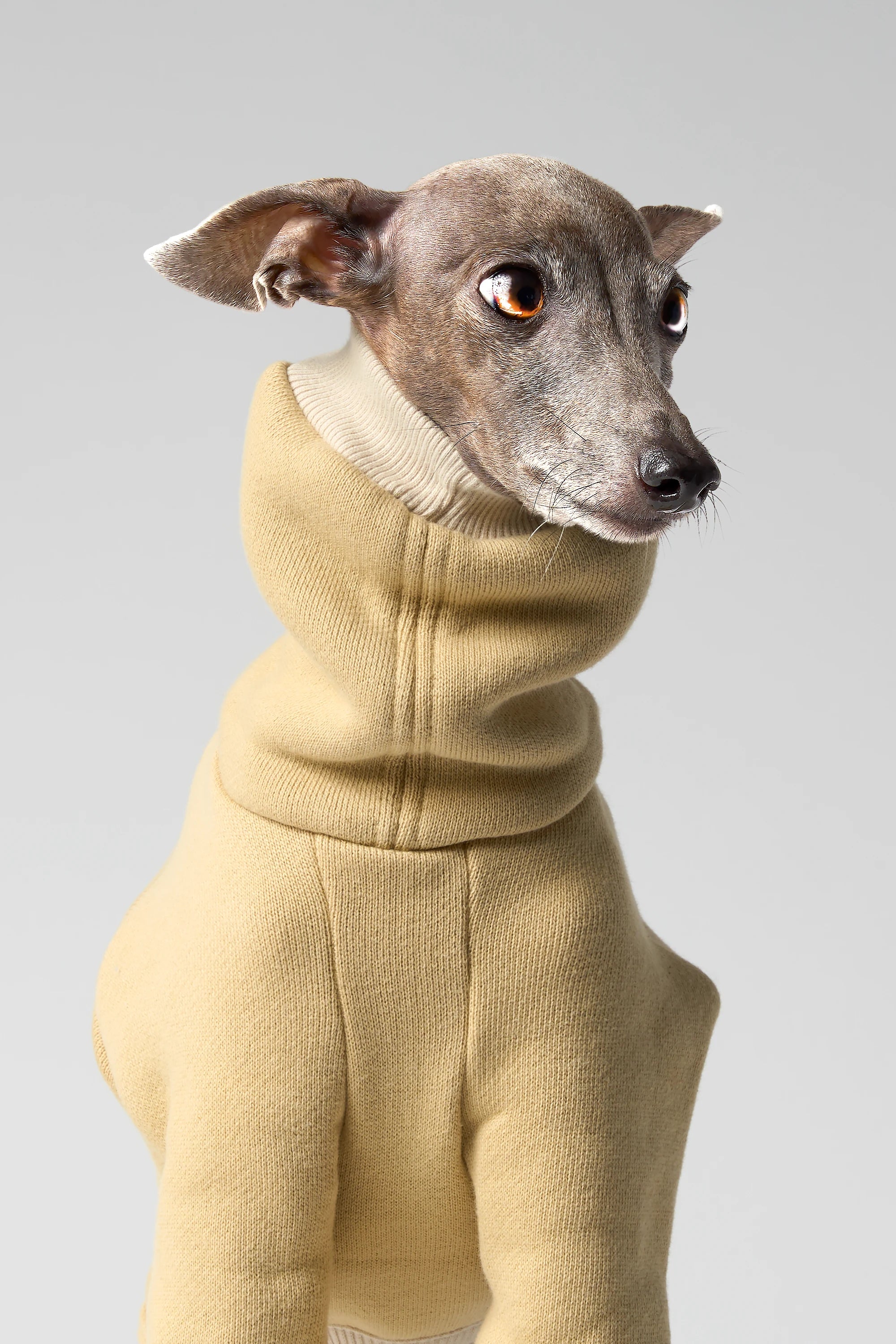 VOLUME – FORMA (RESERVE)