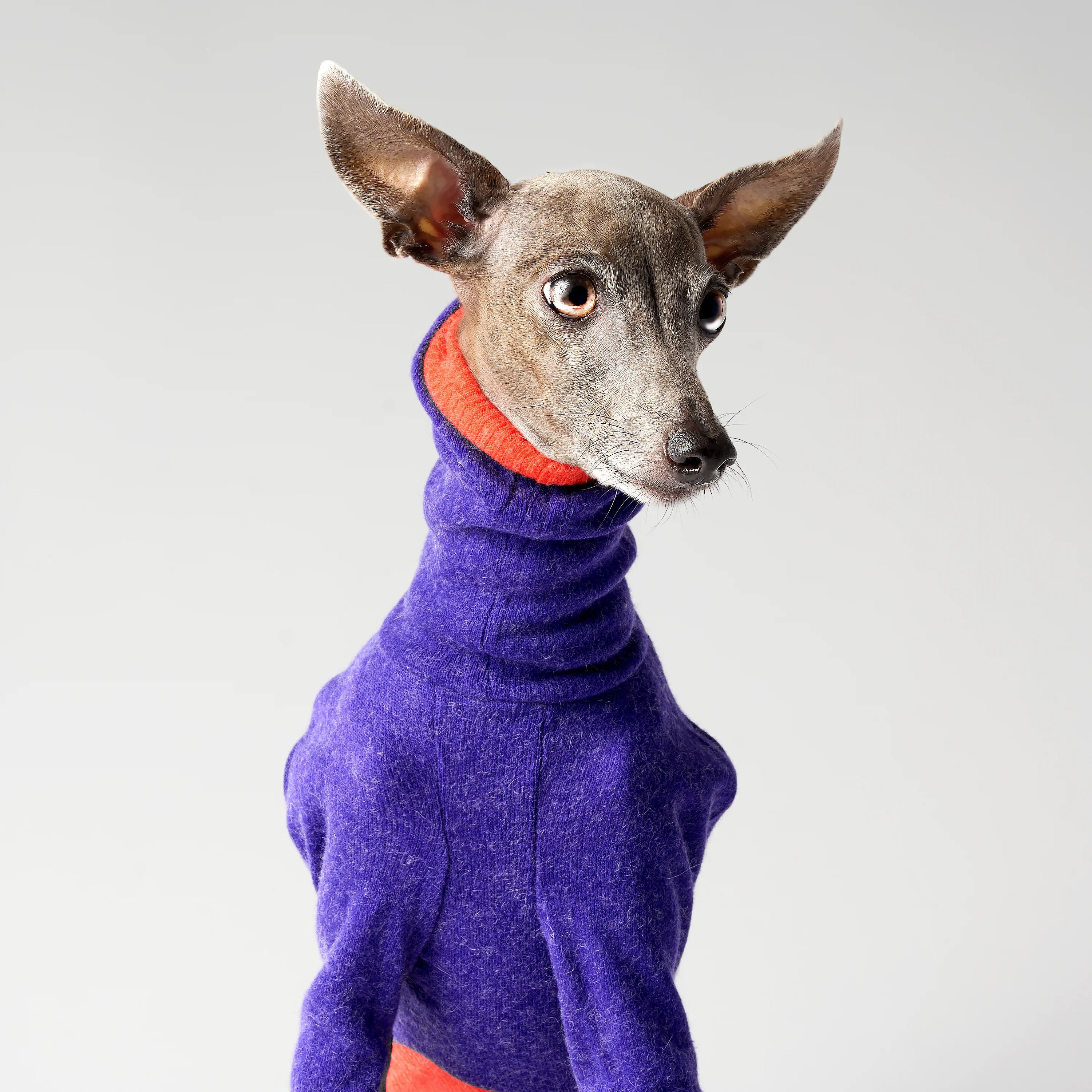WOOLY - LAPINORA