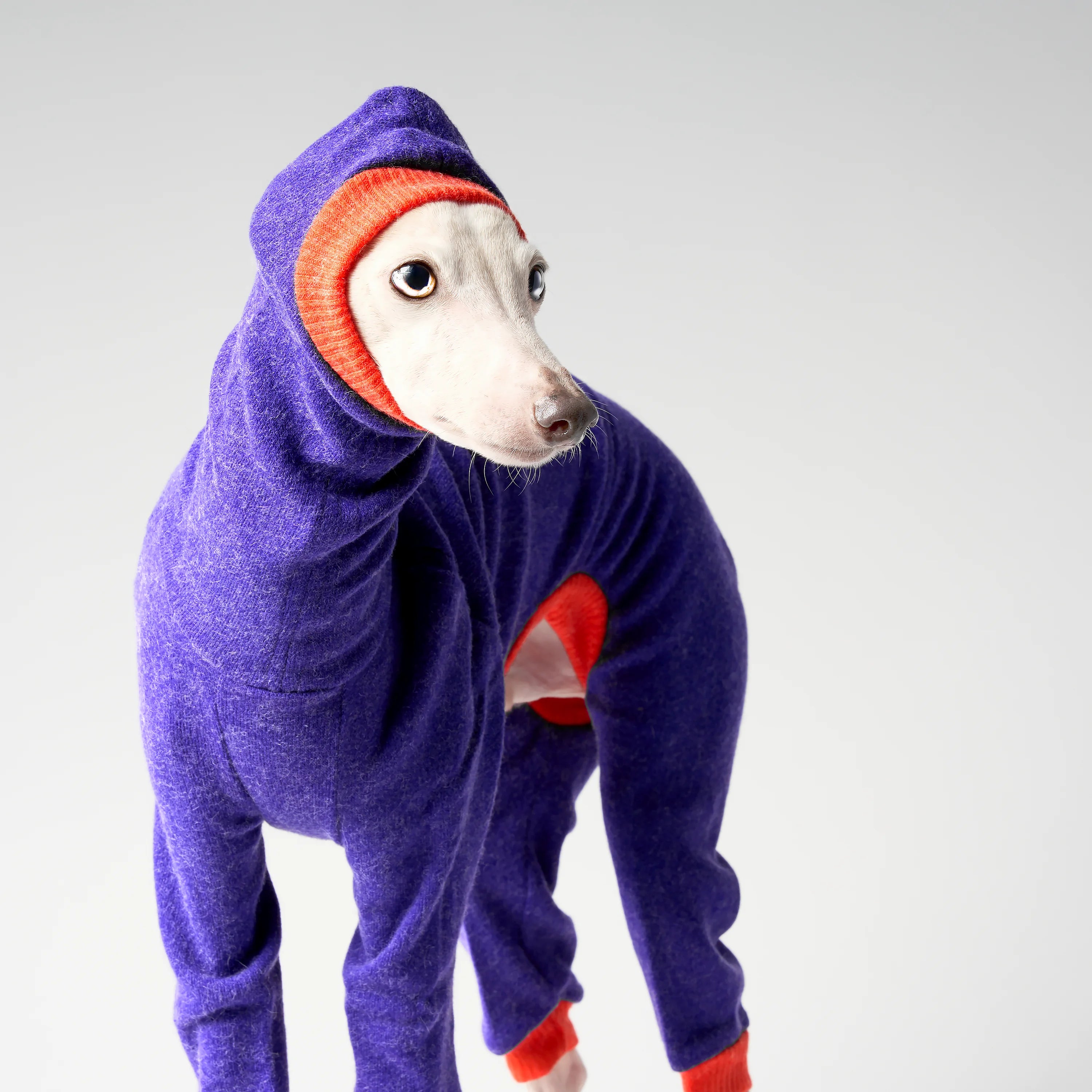 WOOLY - LAPINORA