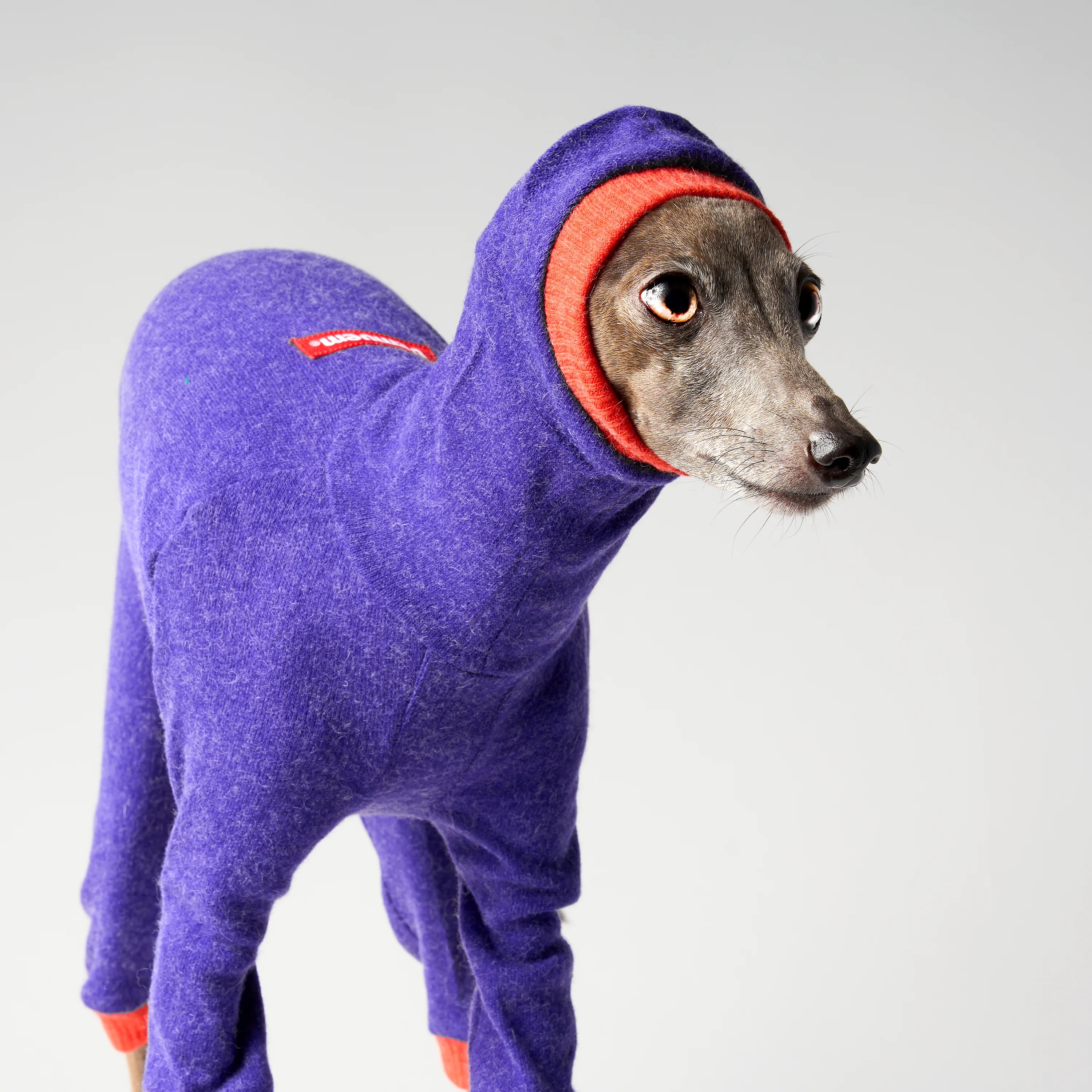 WOOLY - LAPINORA