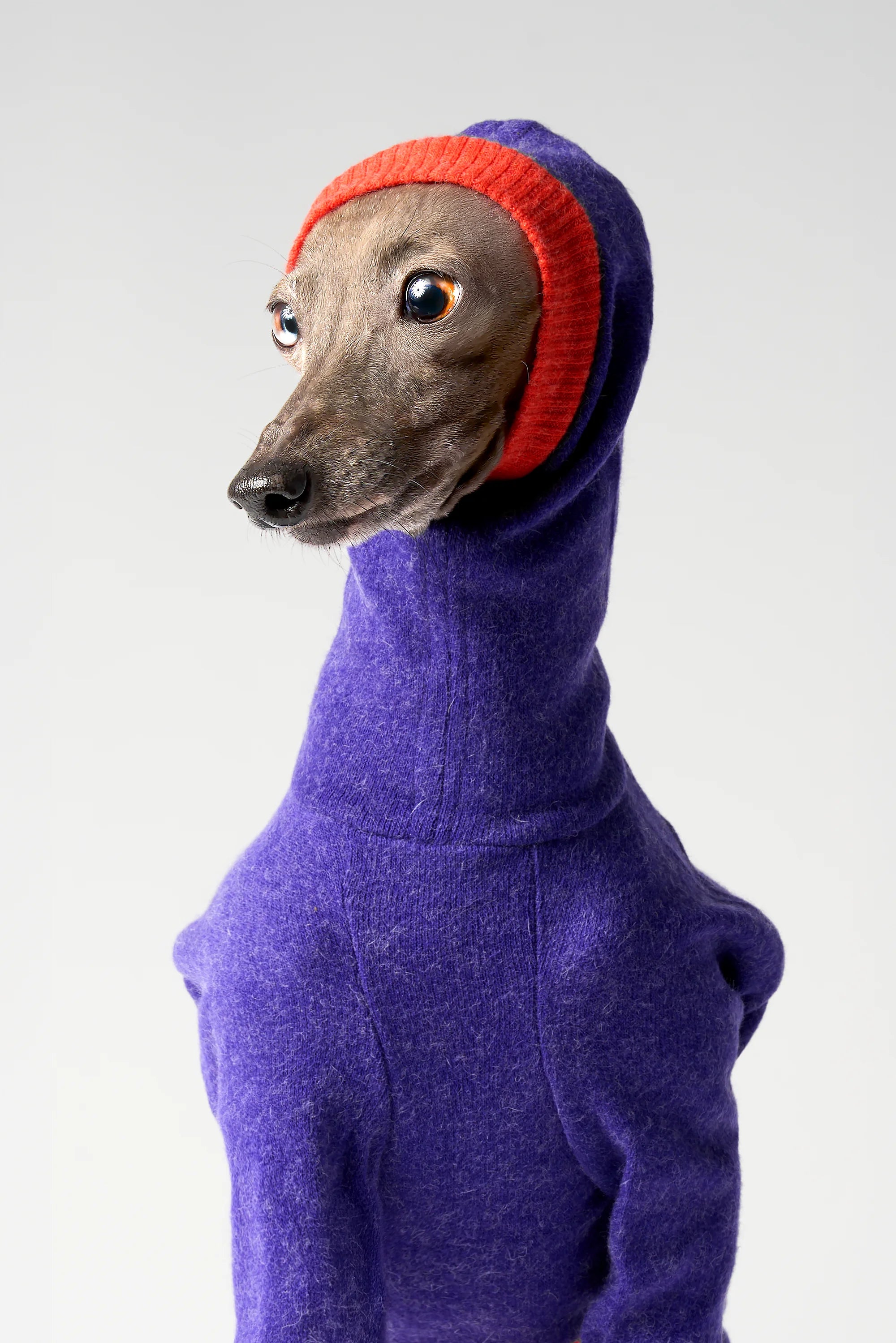 WOOLY - LAPINORA