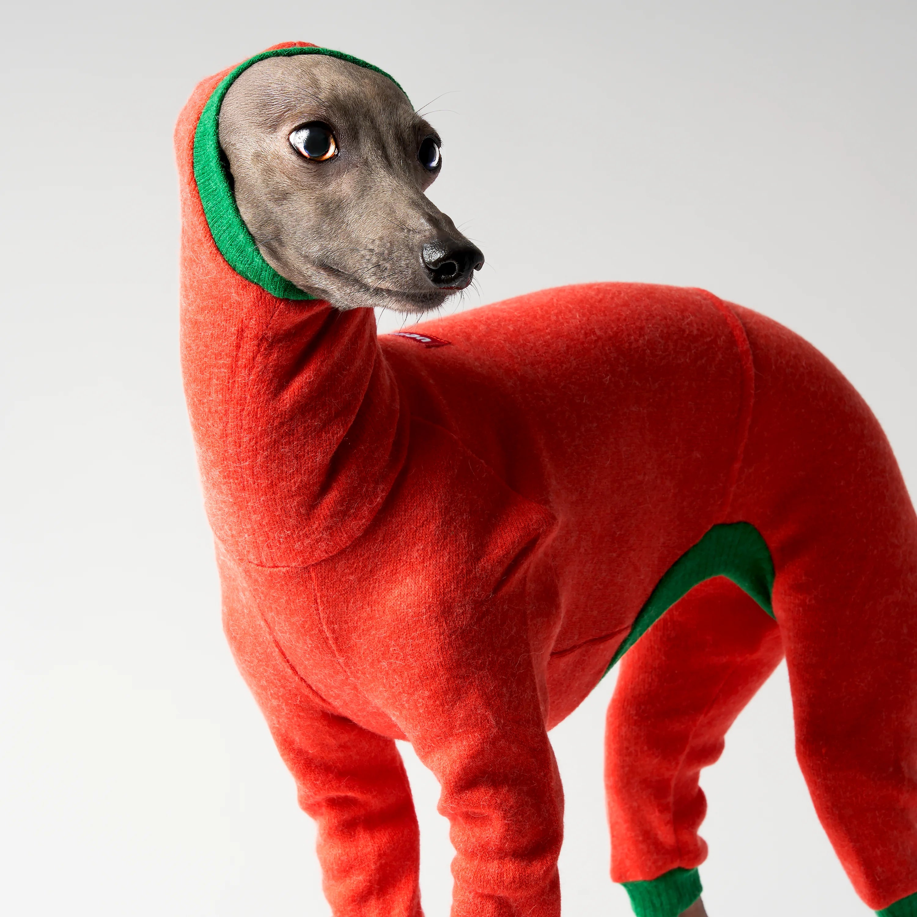 WOOLY - LAPINORA