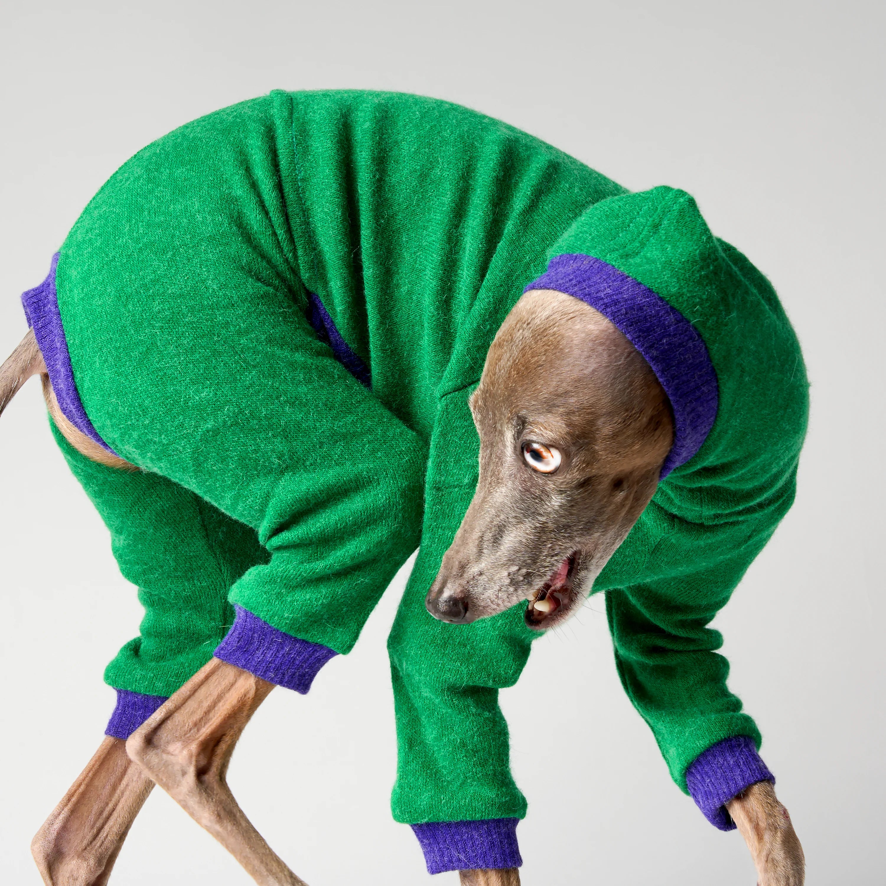 WOOLY - LAPINORA