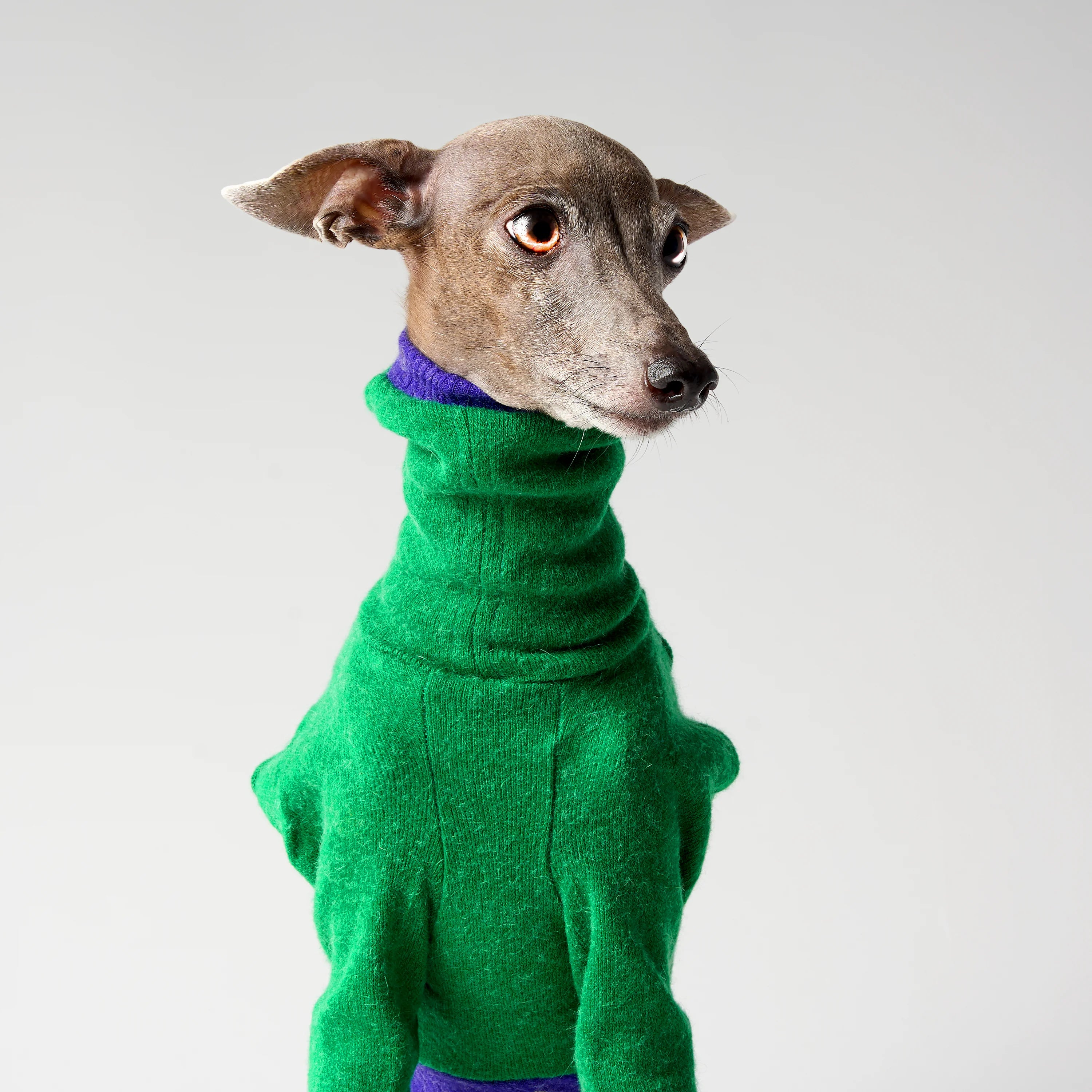 WOOLY - LAPINORA