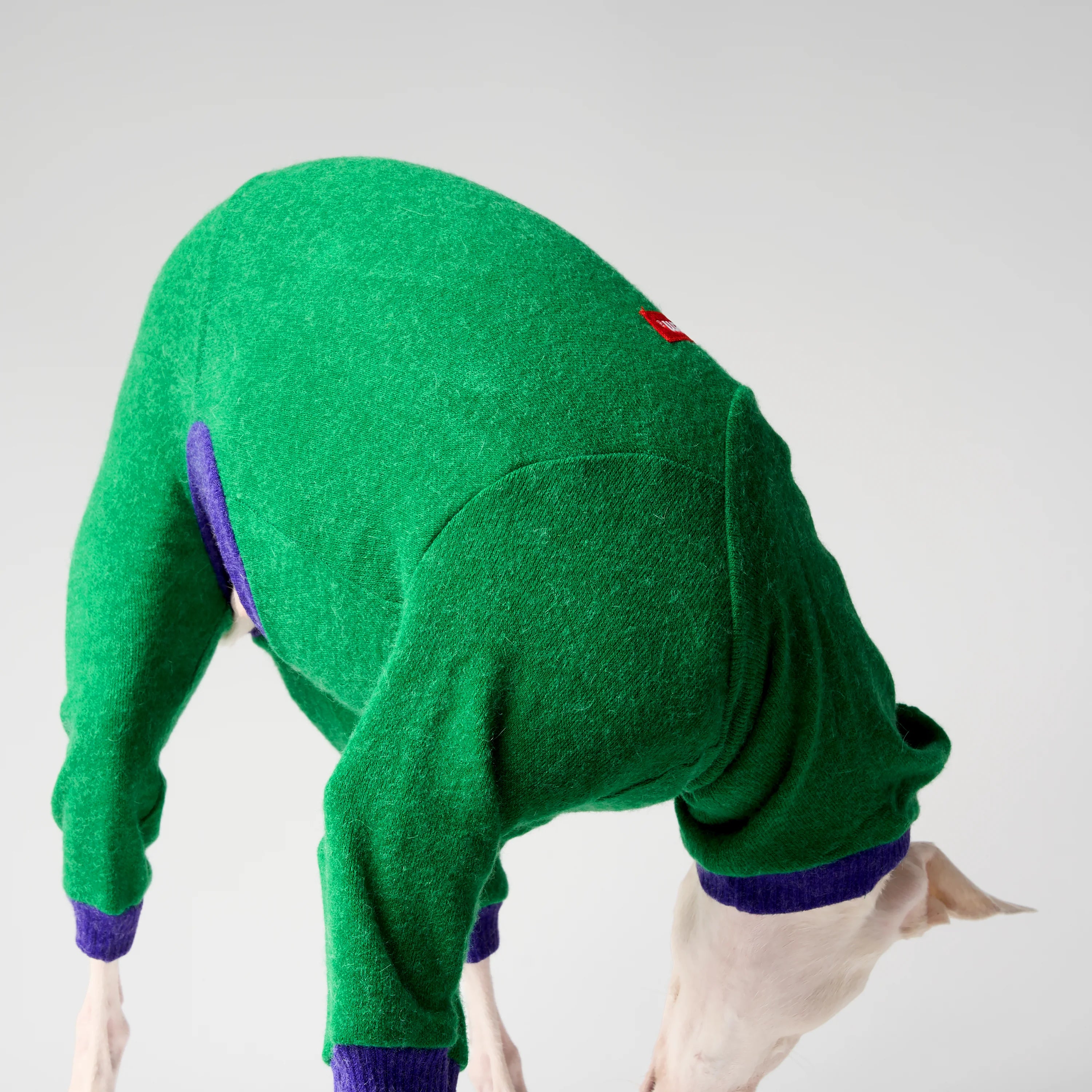 WOOLY - LAPINORA