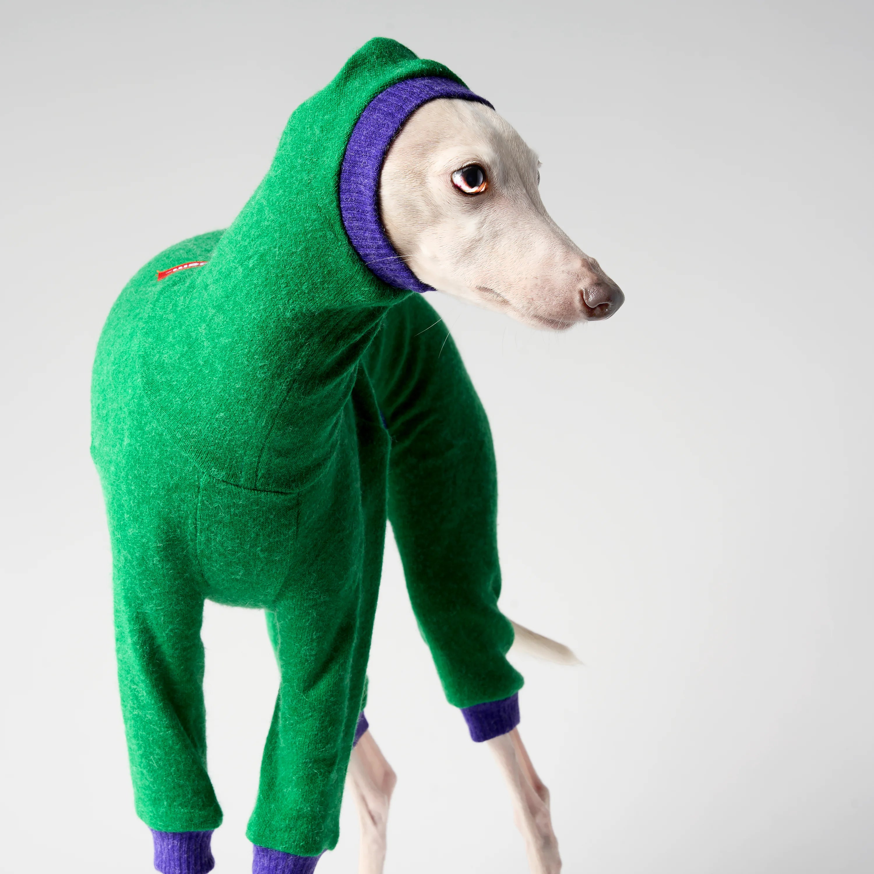 WOOLY - LAPINORA