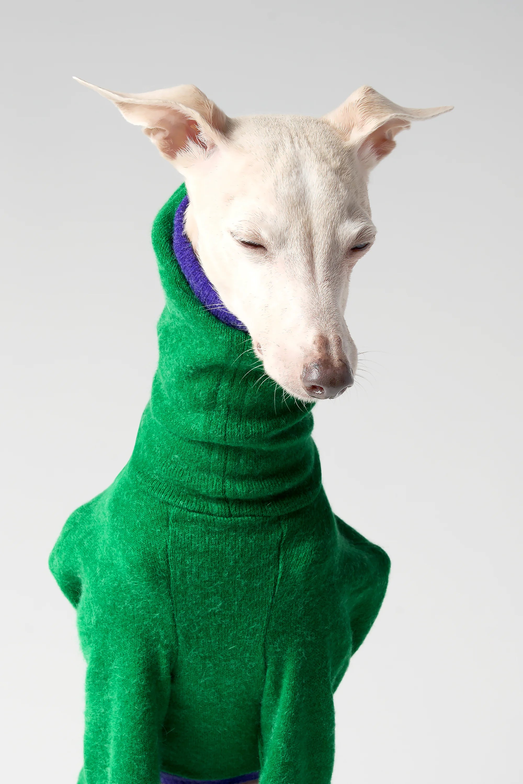 WOOLY - LAPINORA