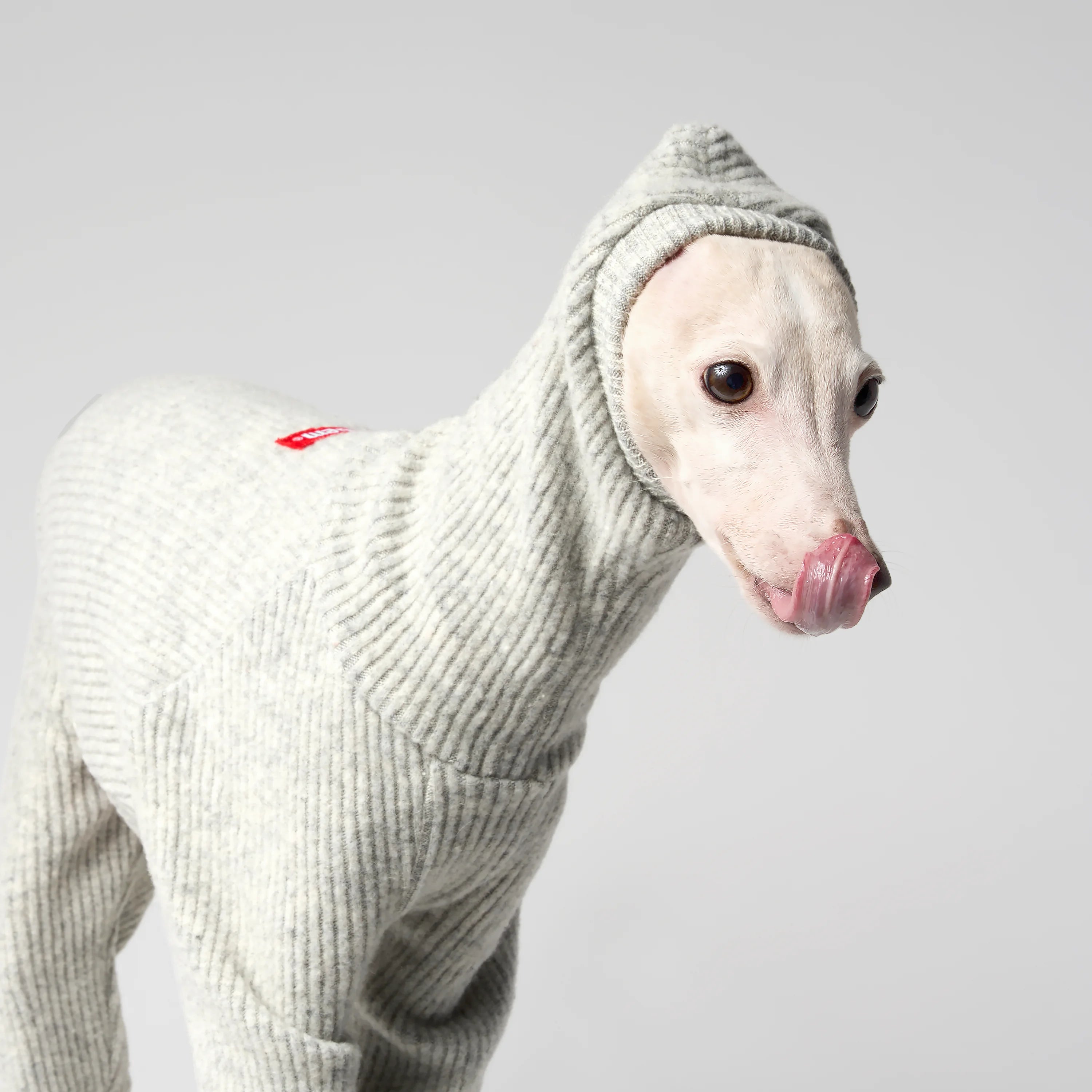 WOOLY - STRIA RIBÉ