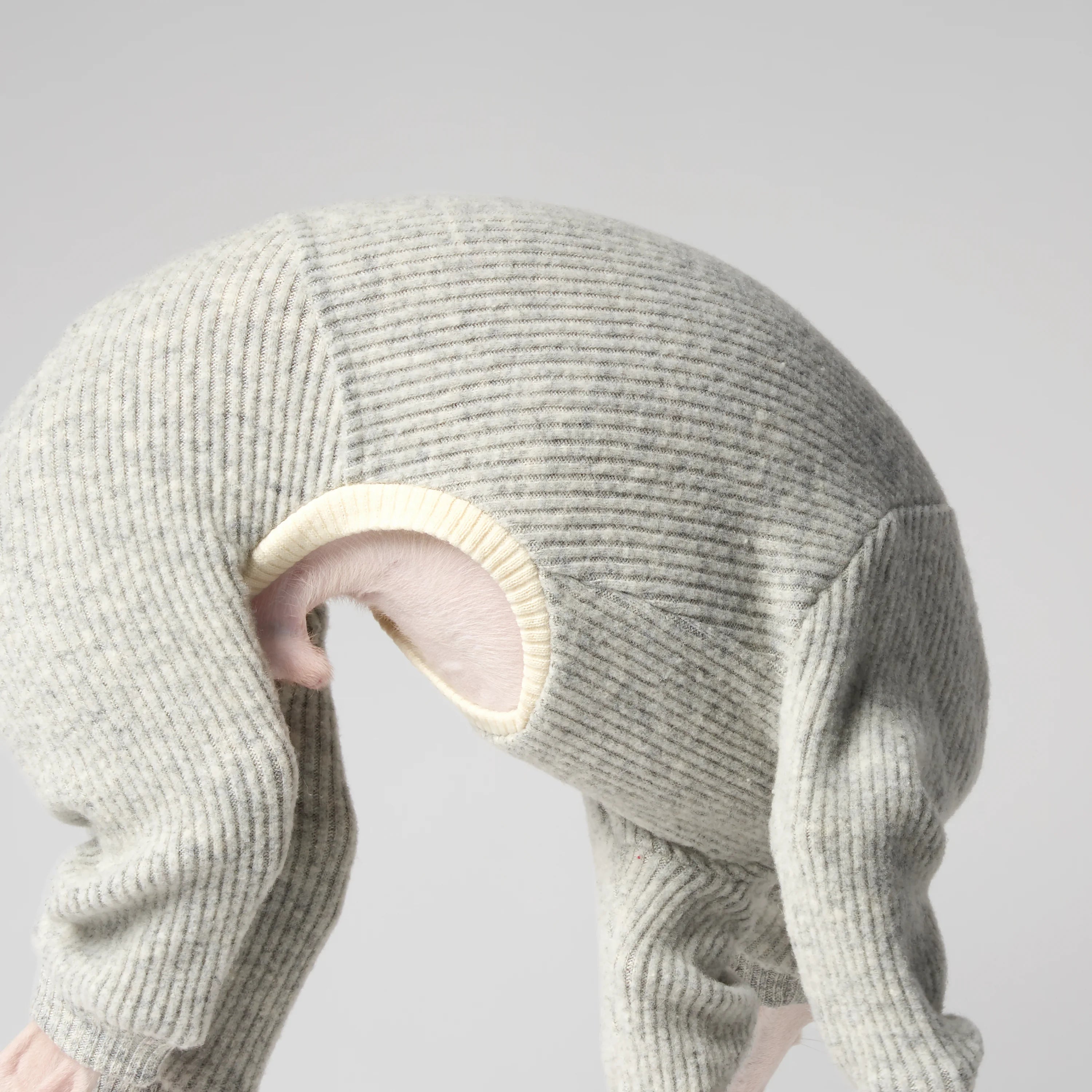 WOOLY - STRIA RIBÉ