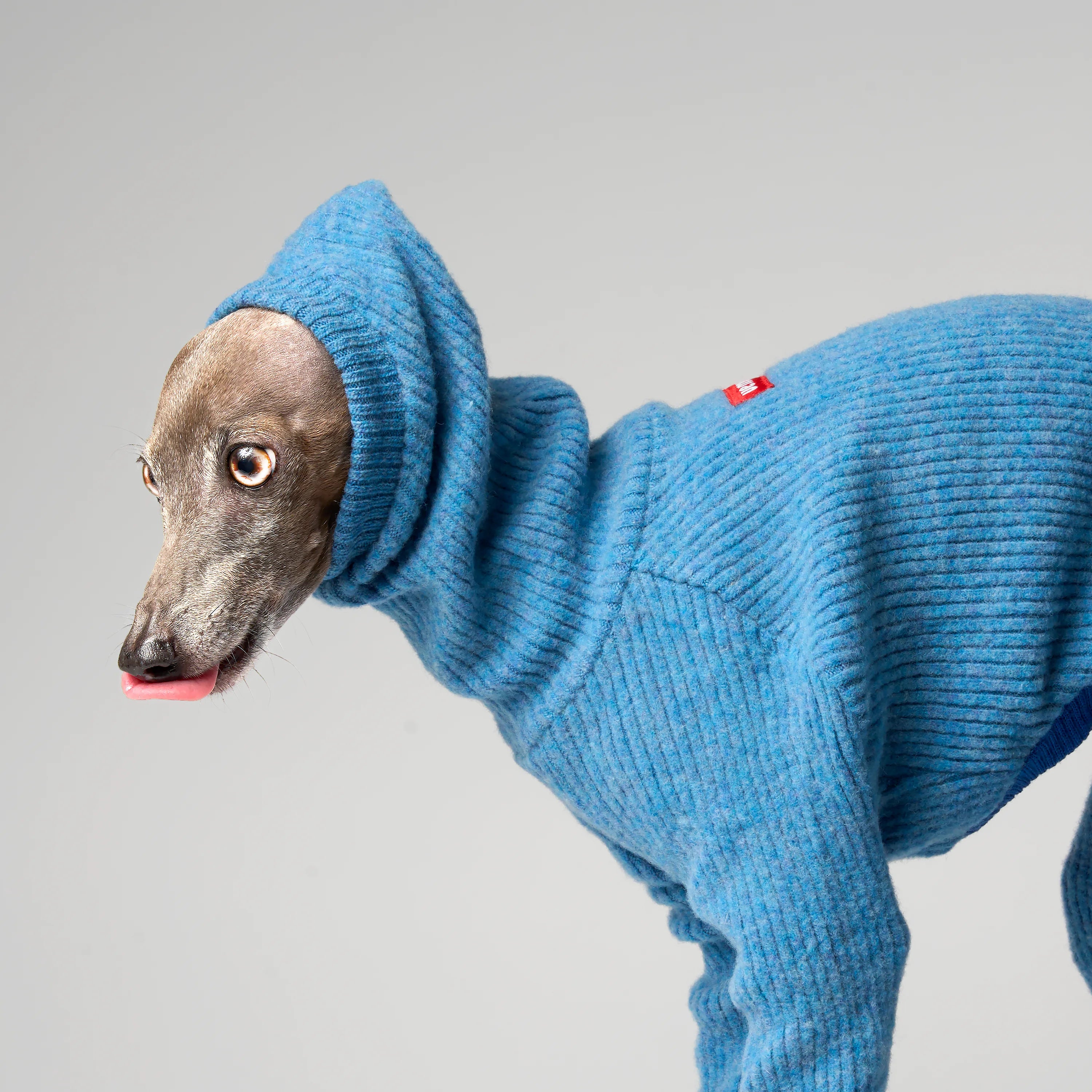 WOOLY - STRIA RIBÉ
