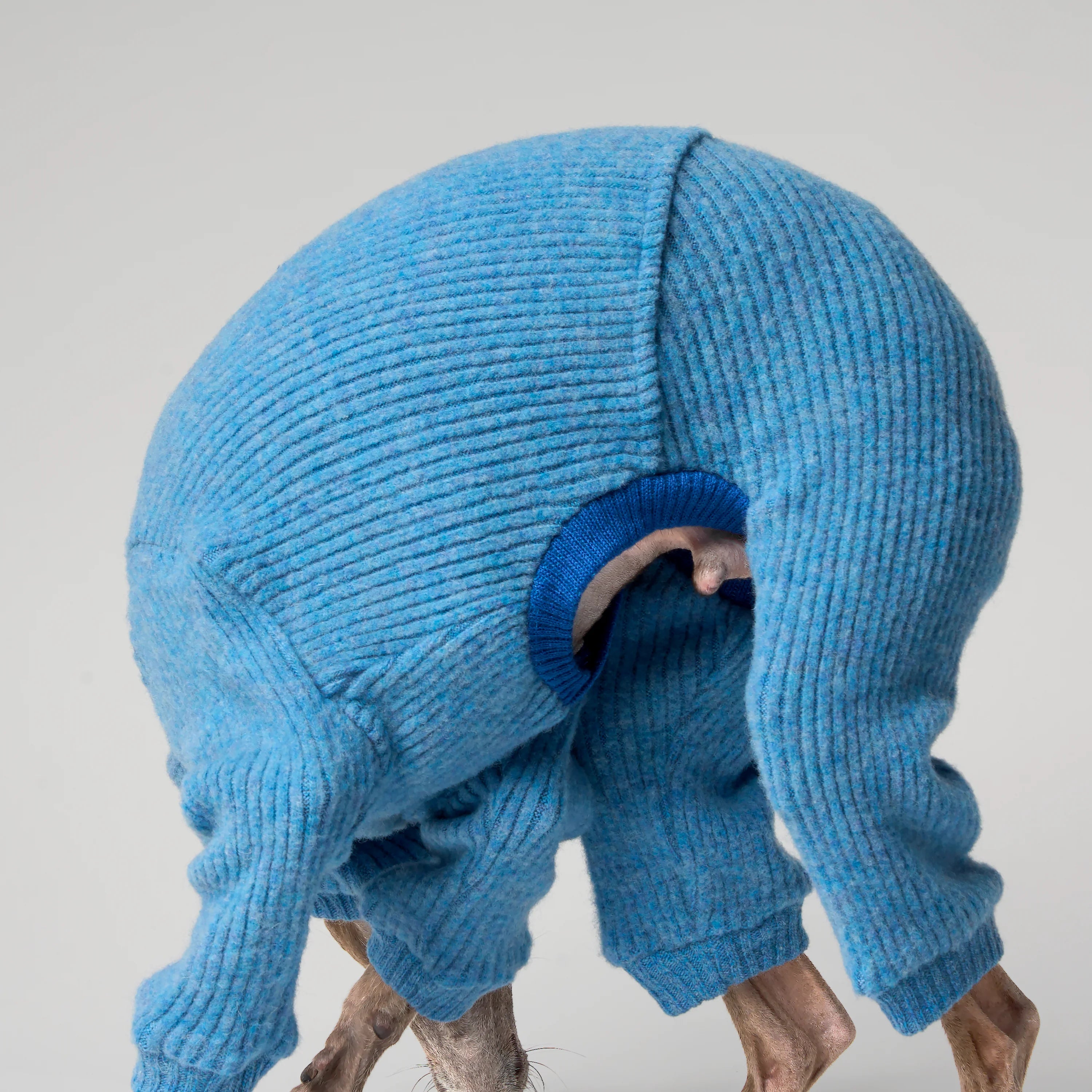 WOOLY - STRIA RIBÉ