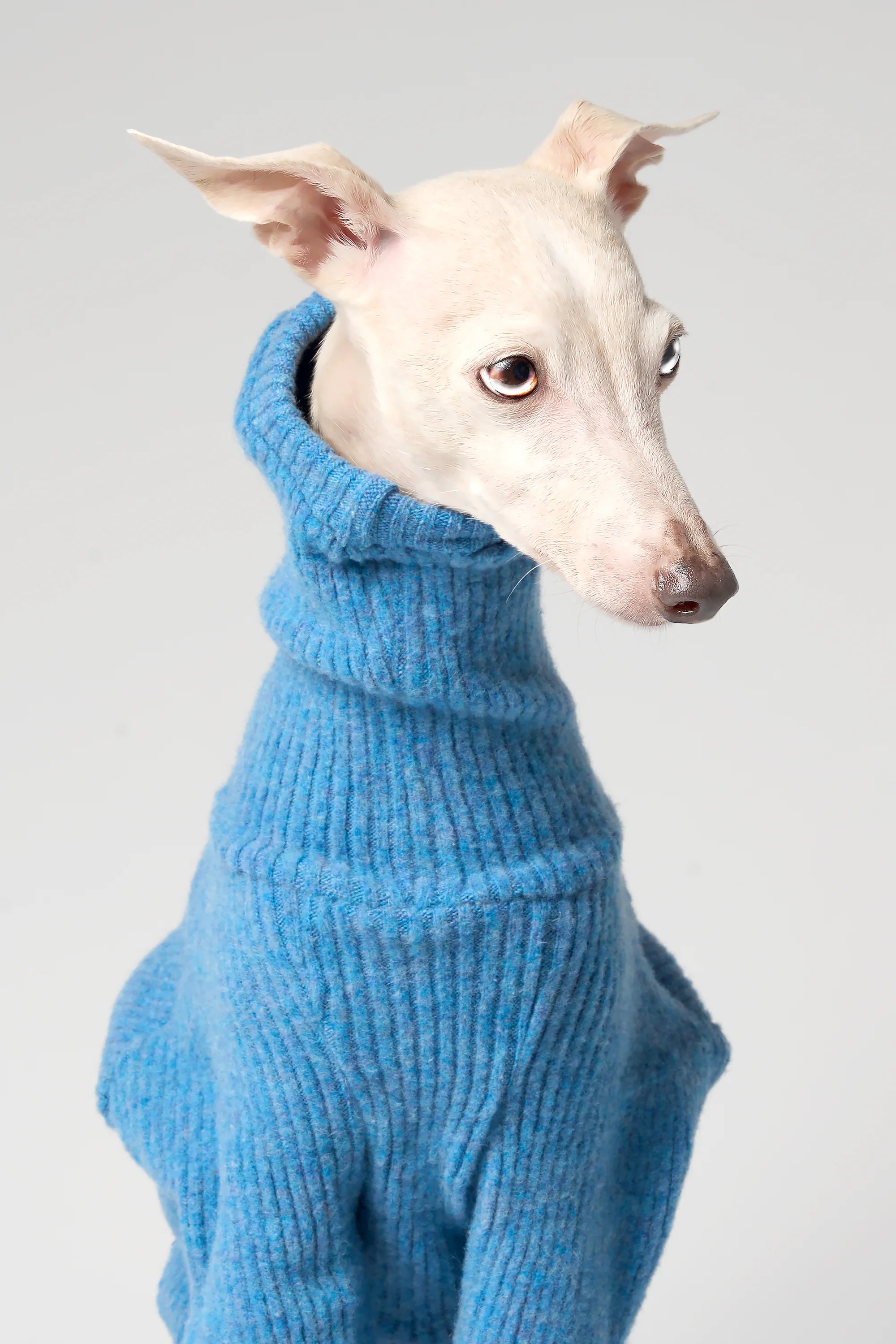 WOOLY - STRIA RIBÉ