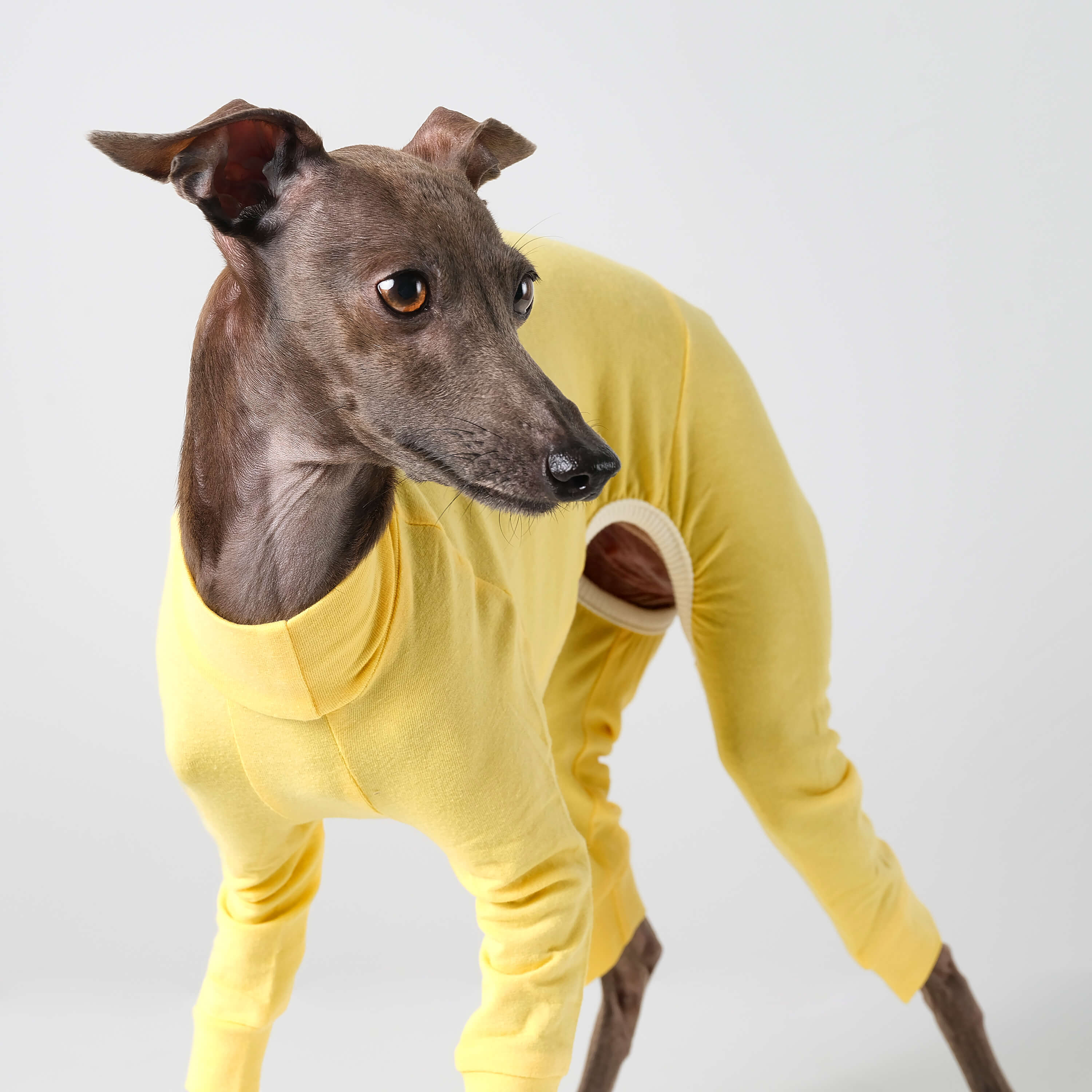 BALLET - LIGHT SLIM