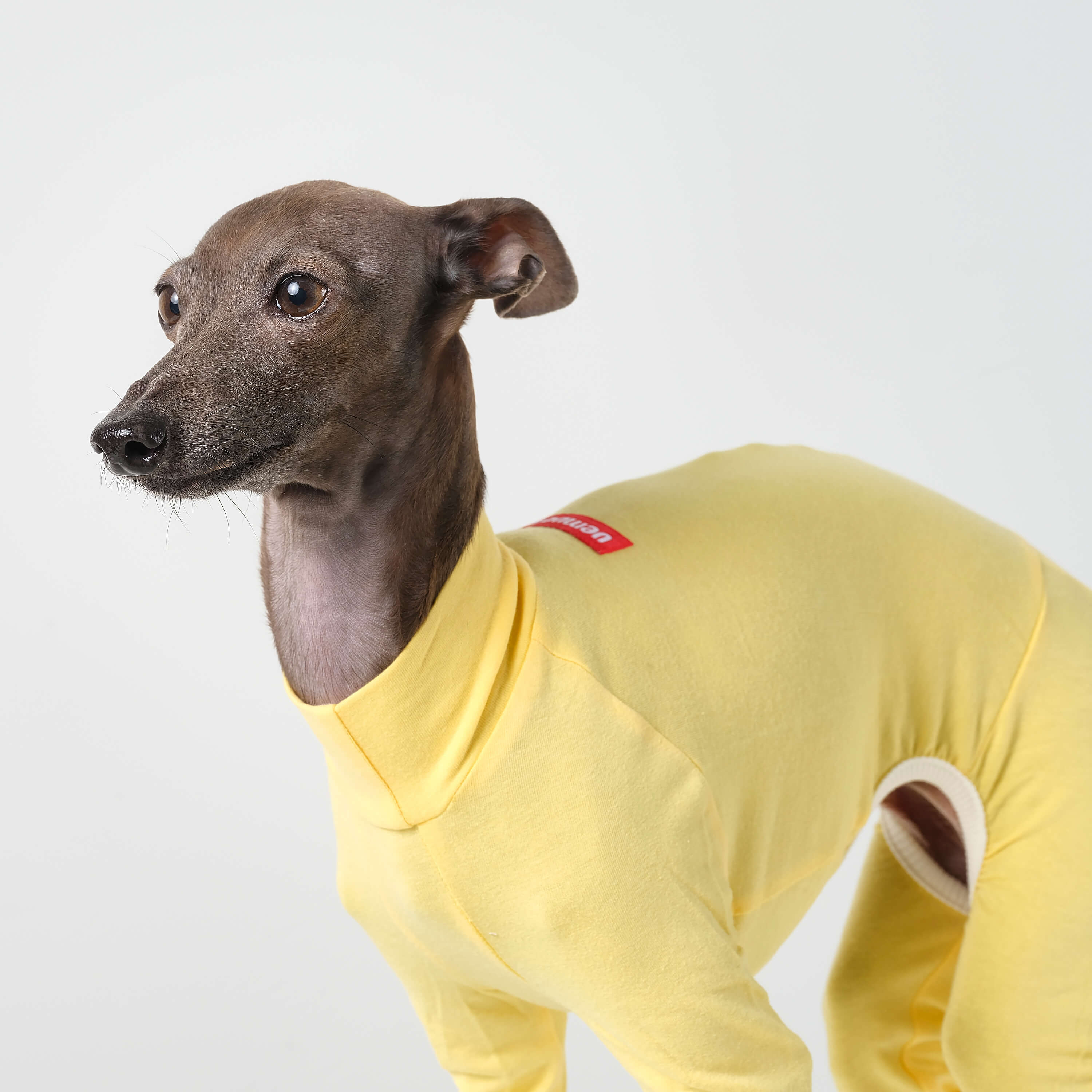 BALLET - LIGHT SLIM