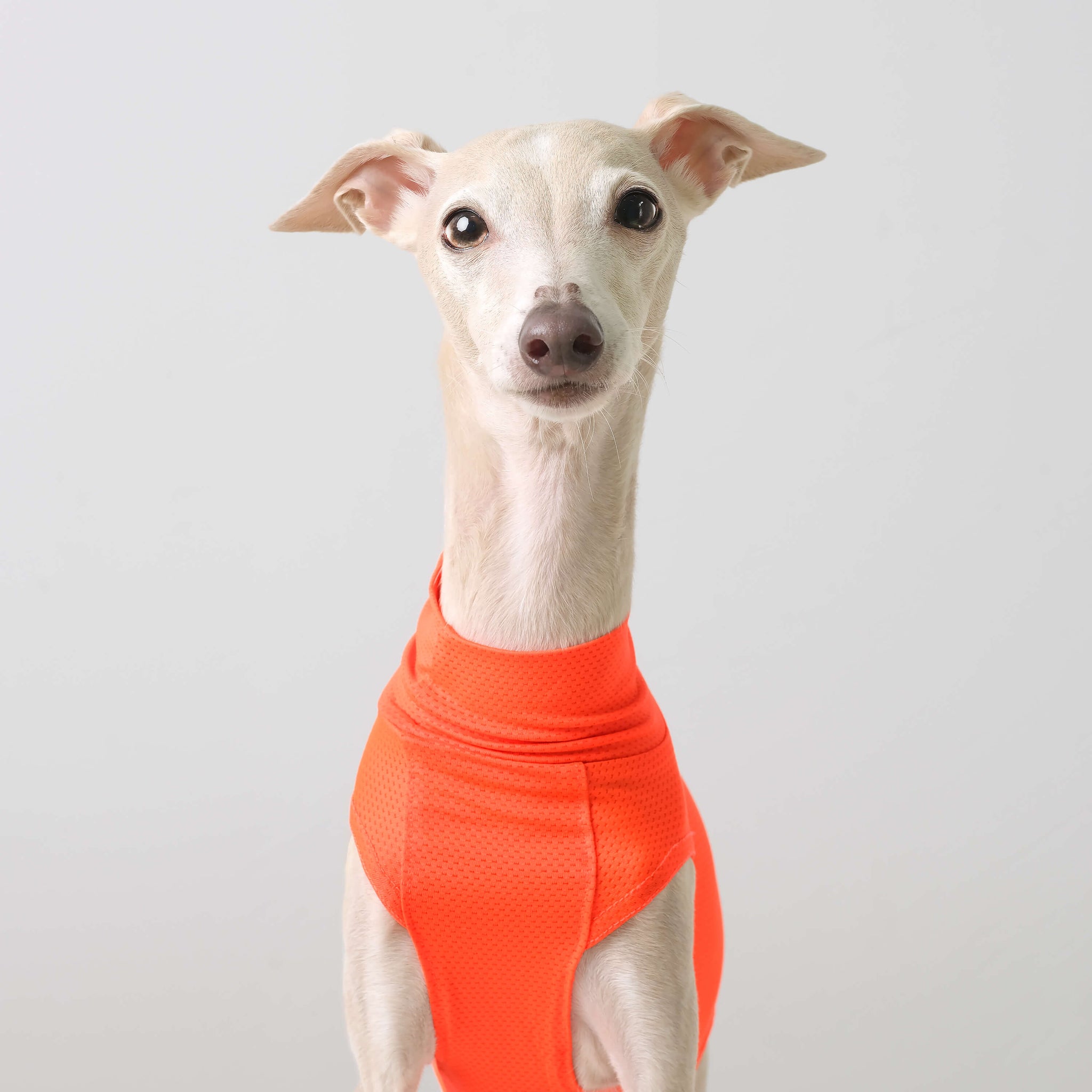 Stop Freezing! The One Layer Trick Everyone'S Missing - 0ncr3bq