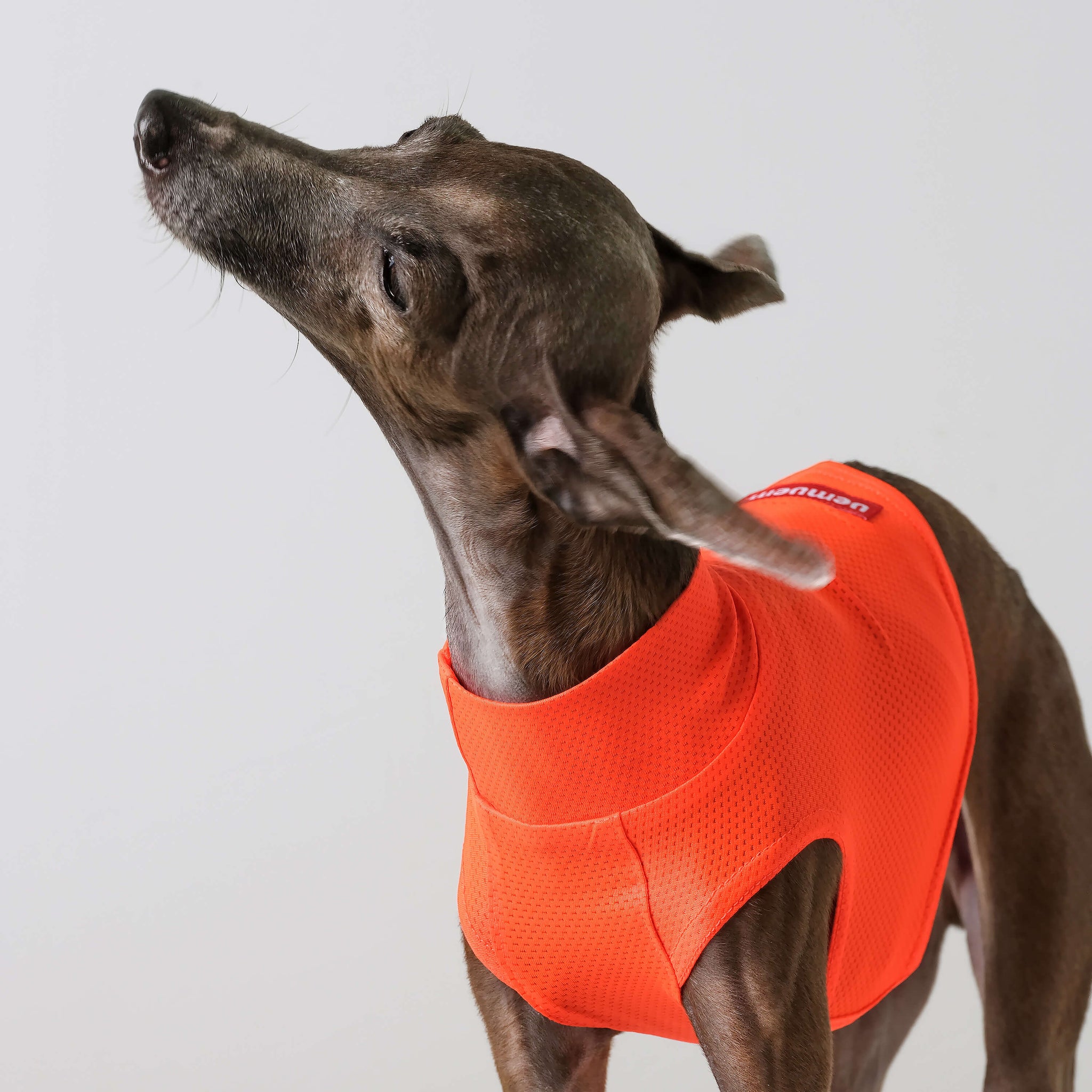 Stop Freezing! The One Layer Trick Everyone'S Missing - efmx7r4