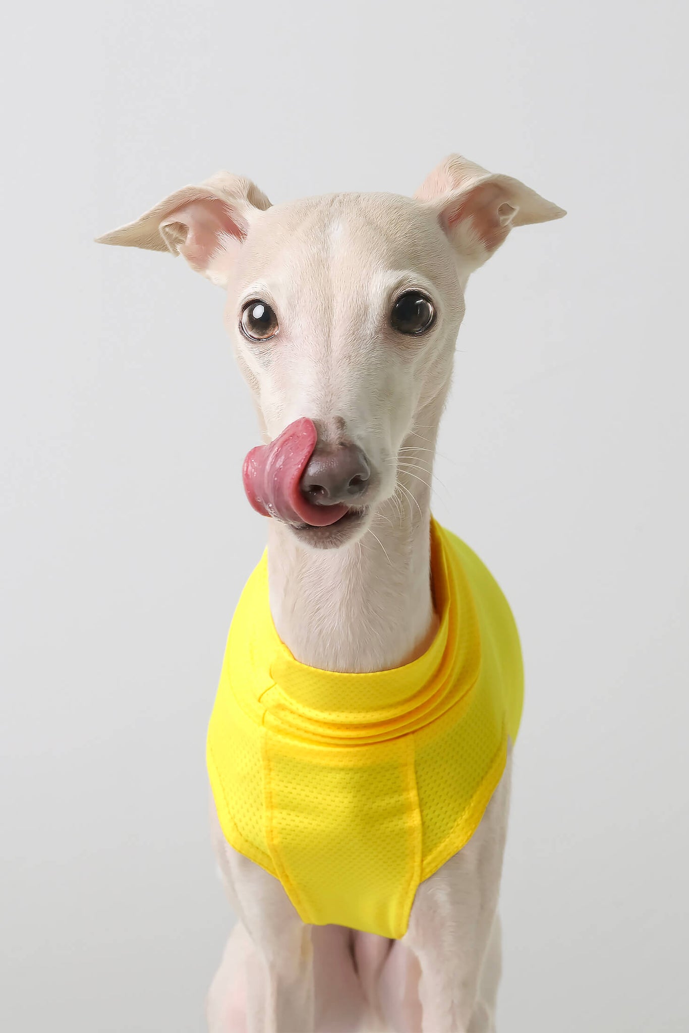 Stop Freezing! The One Layer Trick Everyone'S Missing - l9gh2w8