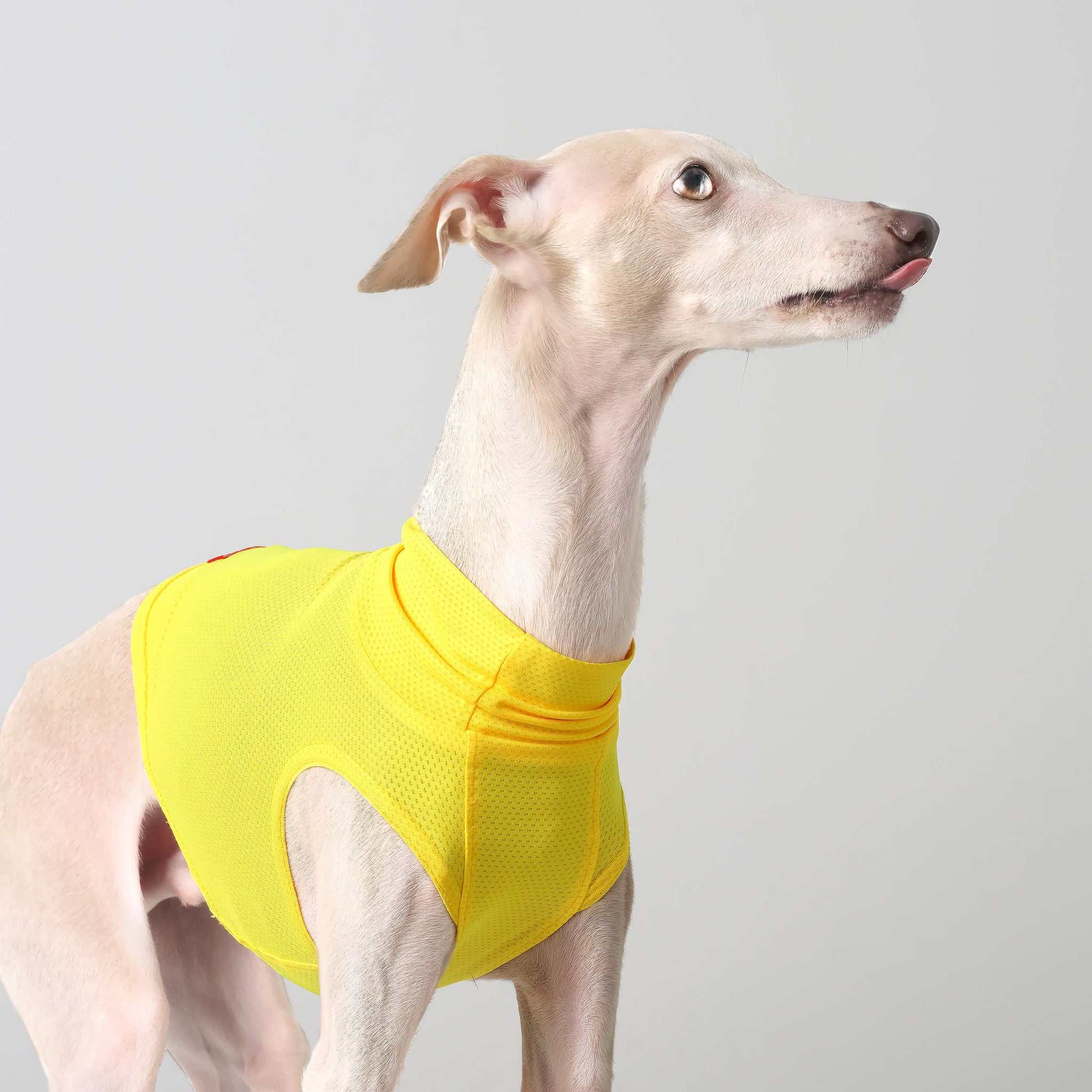 Stop Freezing! The One Layer Trick Everyone'S Missing - rcudfcu